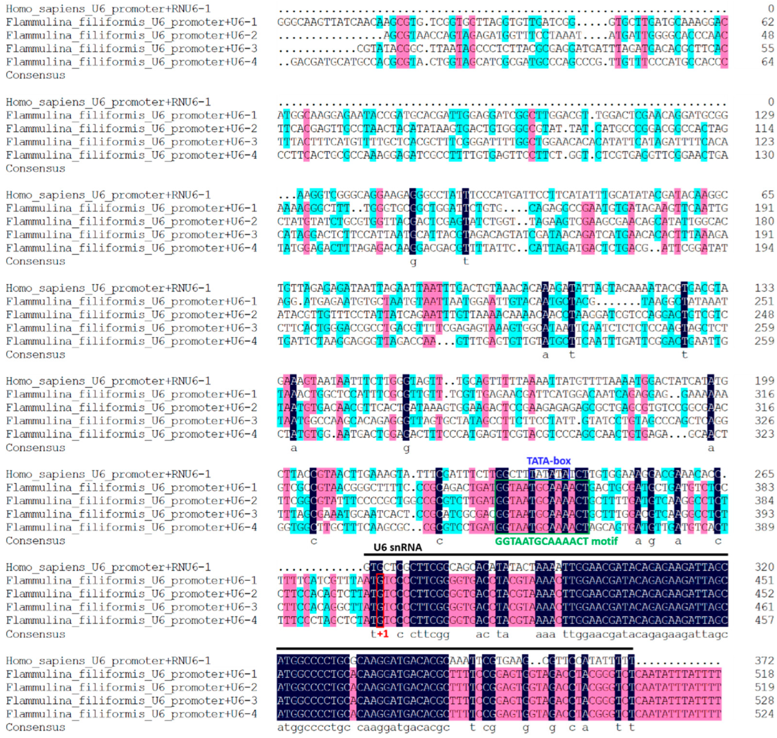 Jof 08 00693 g002 550