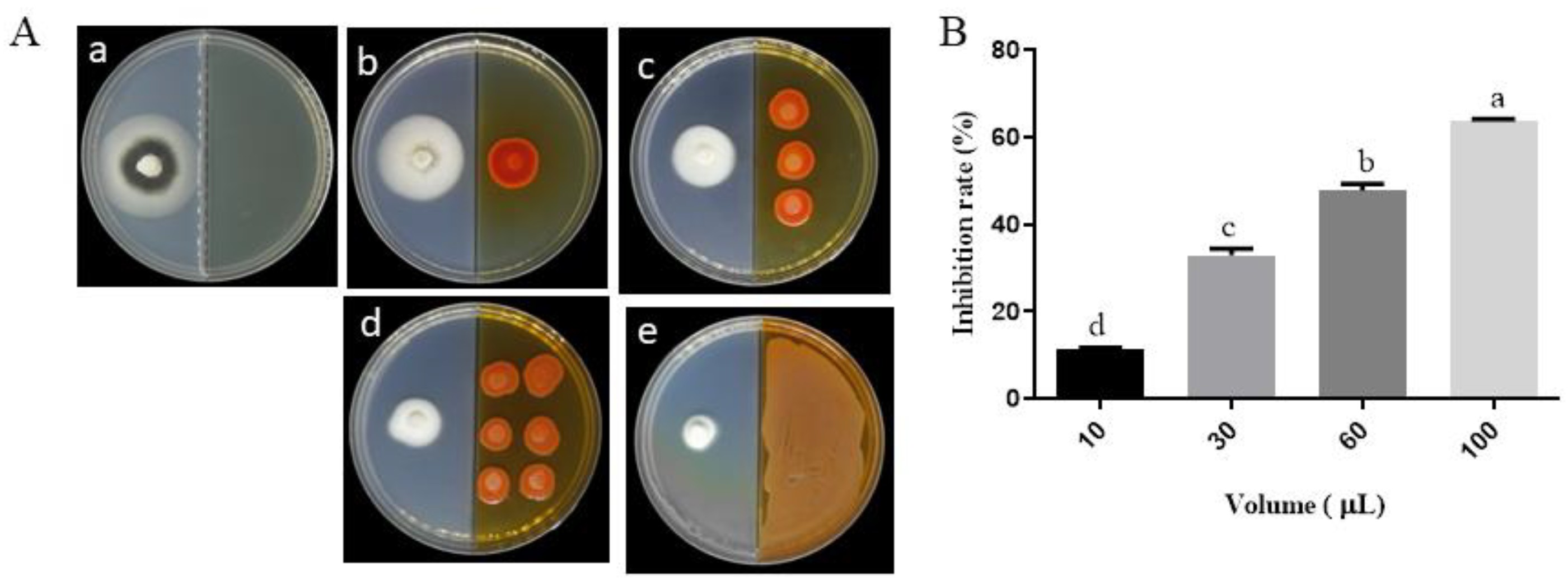 オーダー Effects of Volatile Organic Compounds Produced by