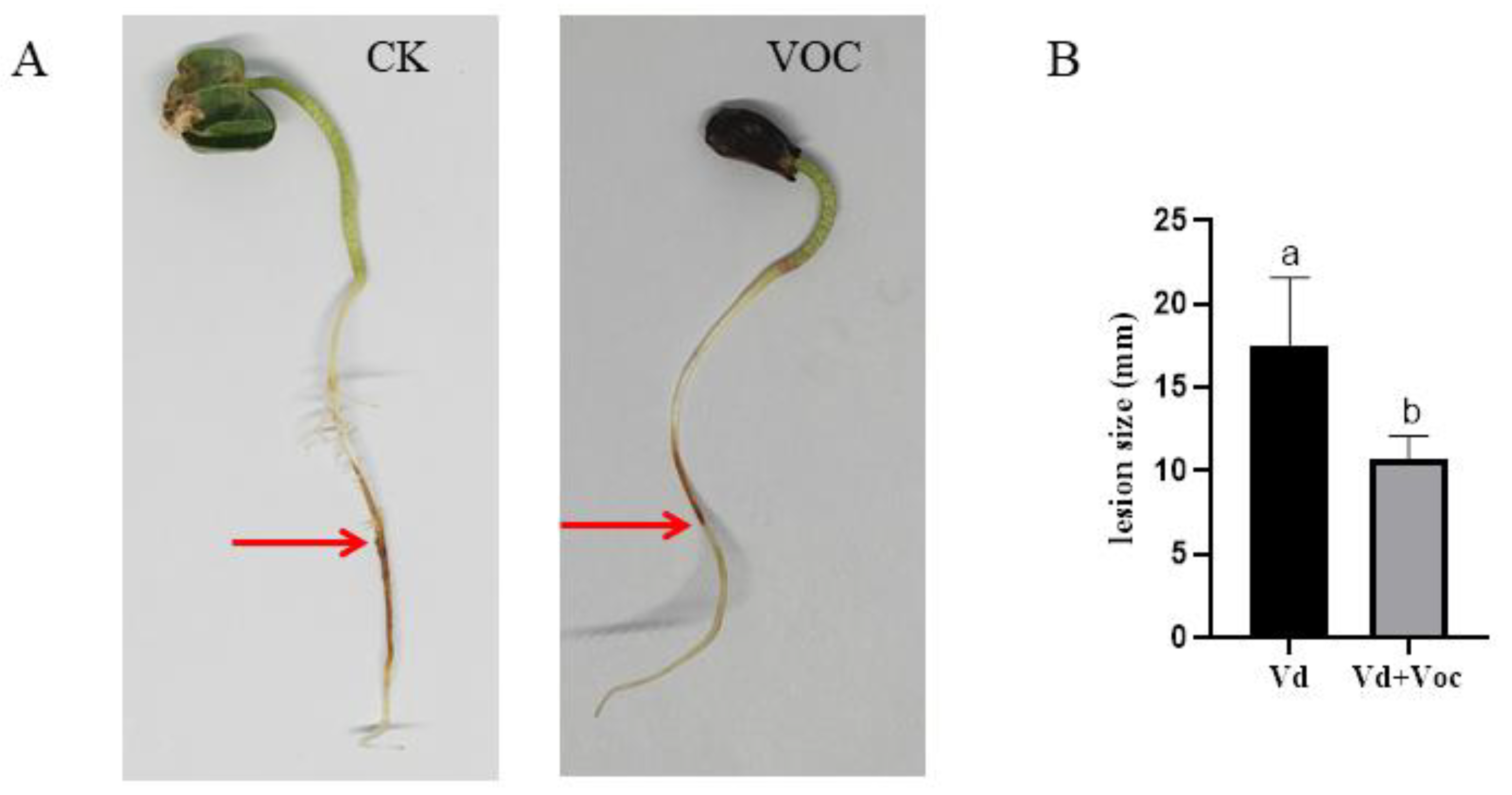 Jof 08 00697 g006 550