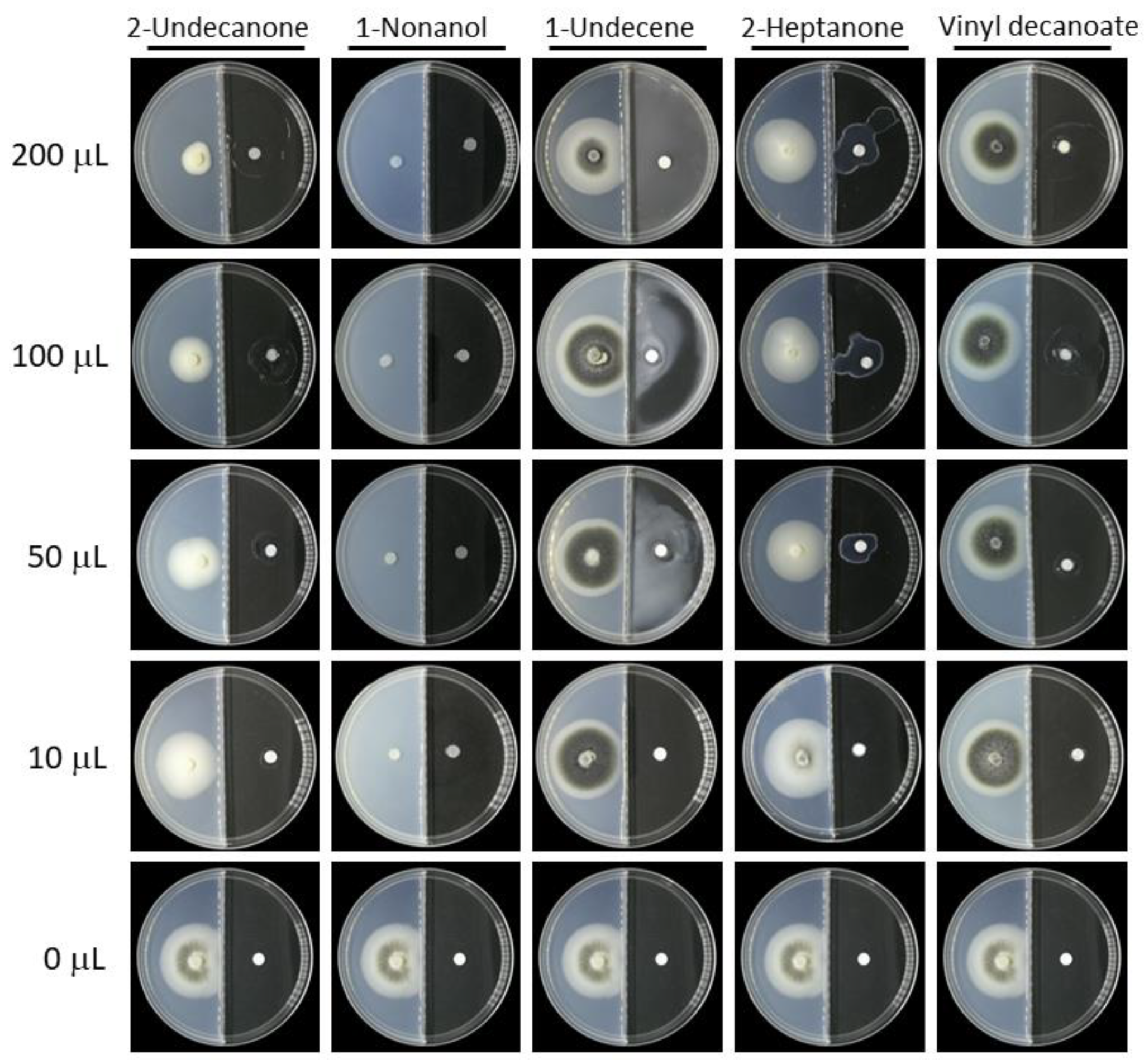 Jof 08 00697 g008 550