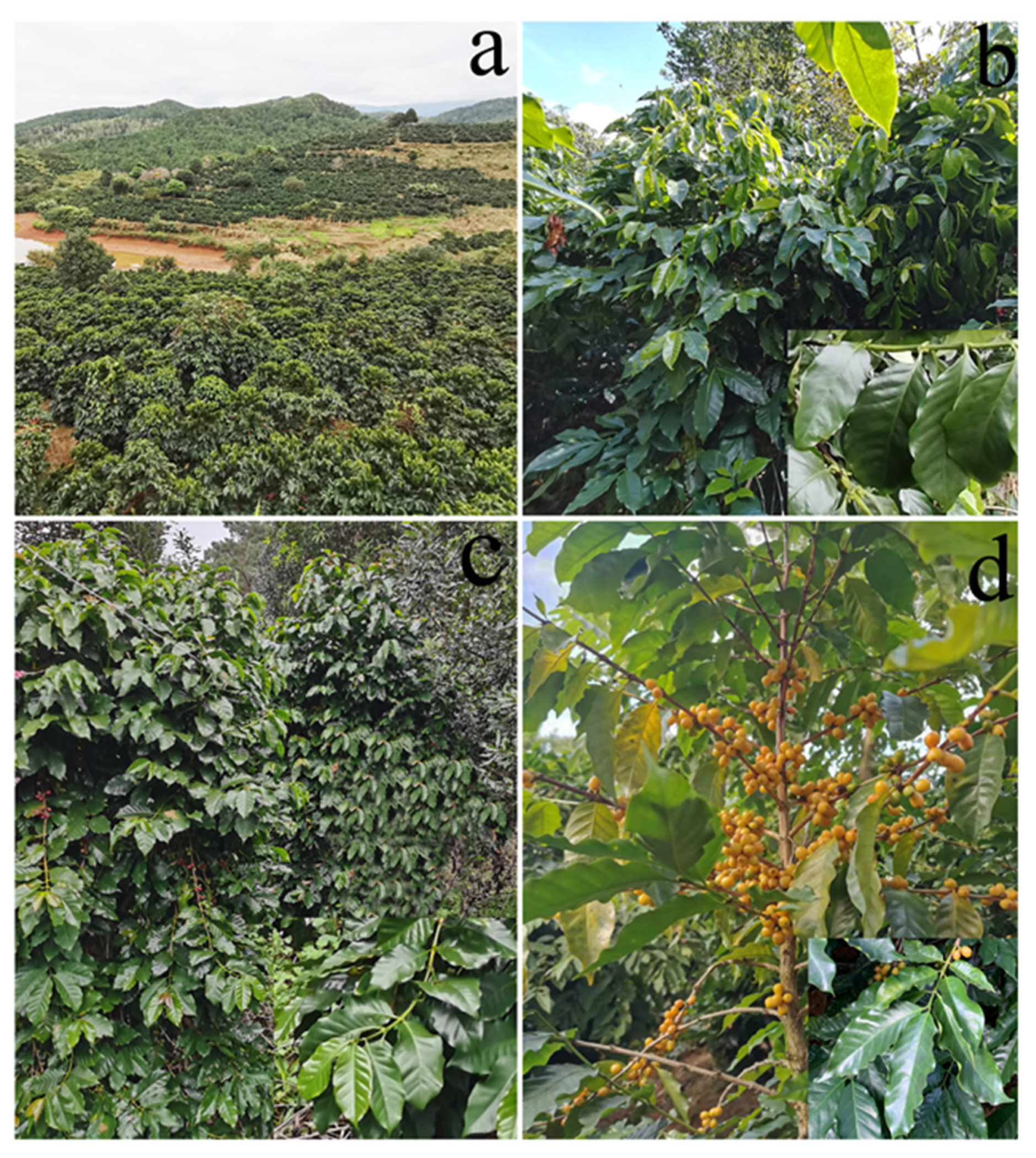 Jof 08 00698 g001 Jof 08 00698 g001