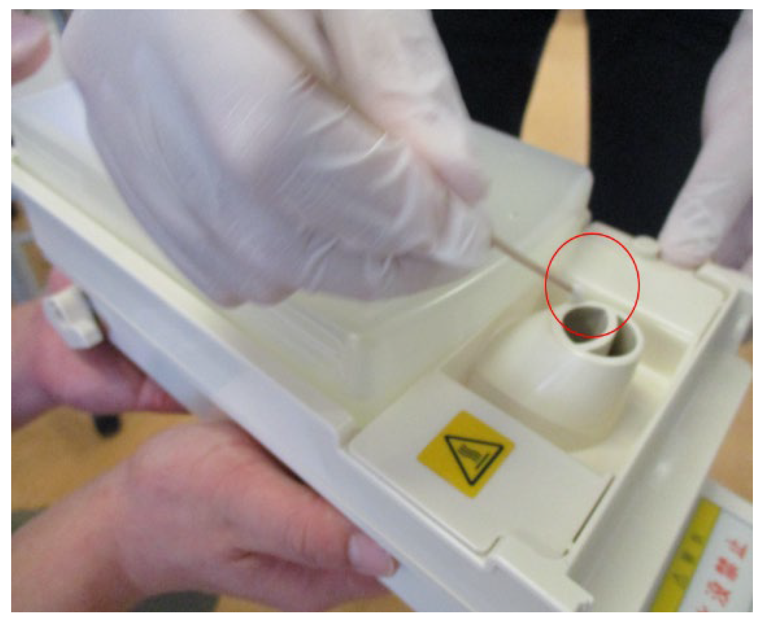 Jof 08 00700 g001 550