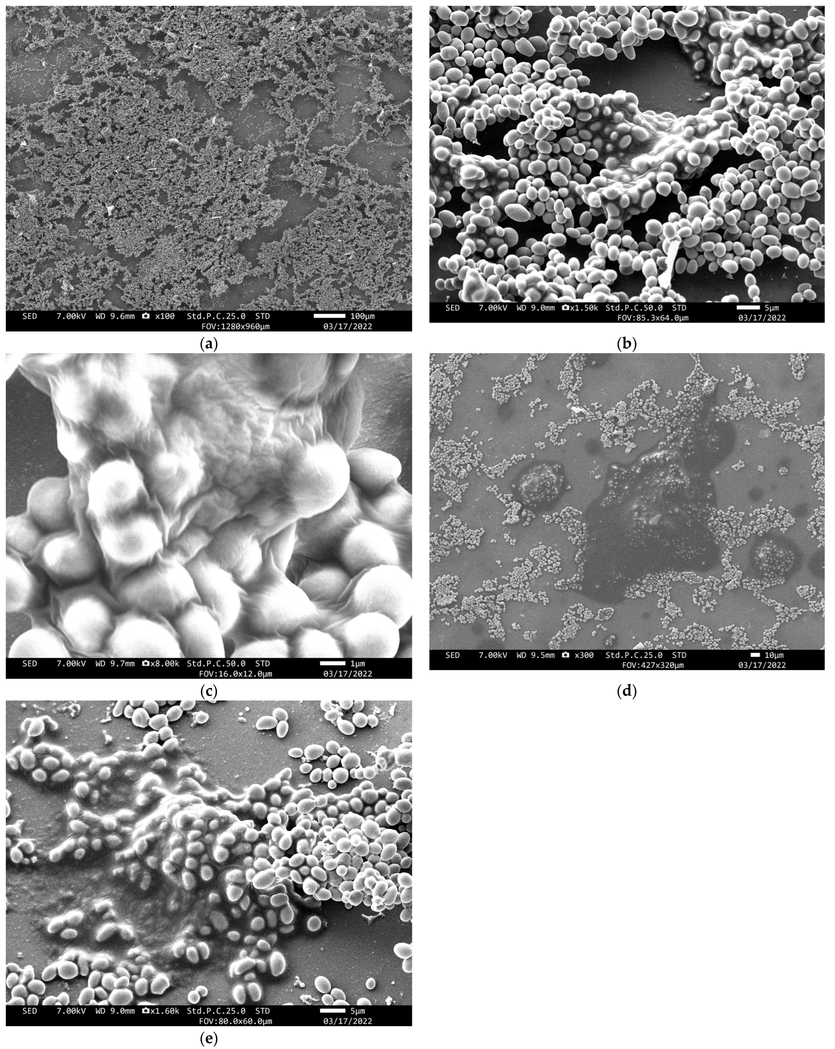 Jof 08 00700 g004 550