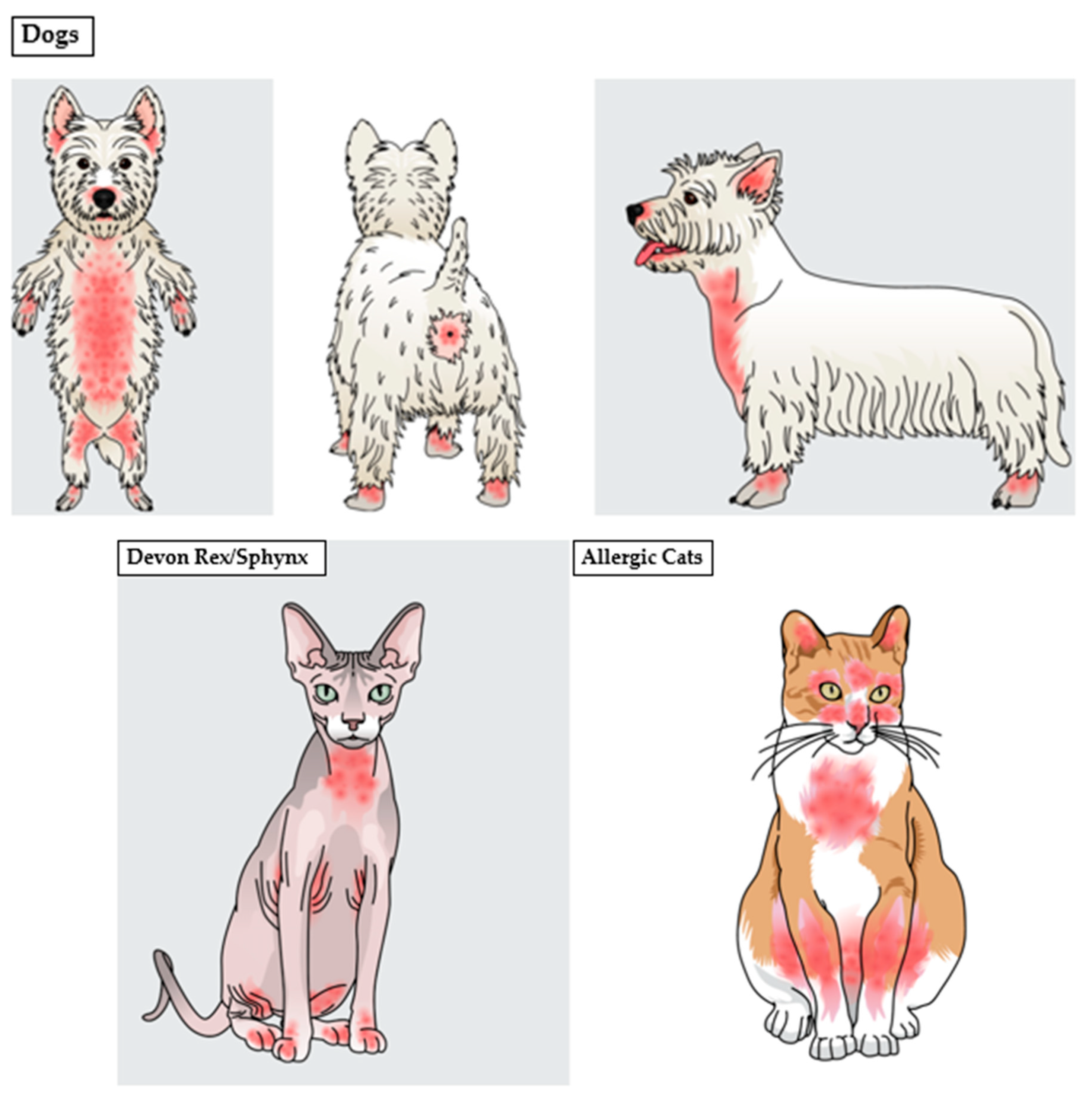 Jof 08 00708 g004 Jof 08 00708 g004