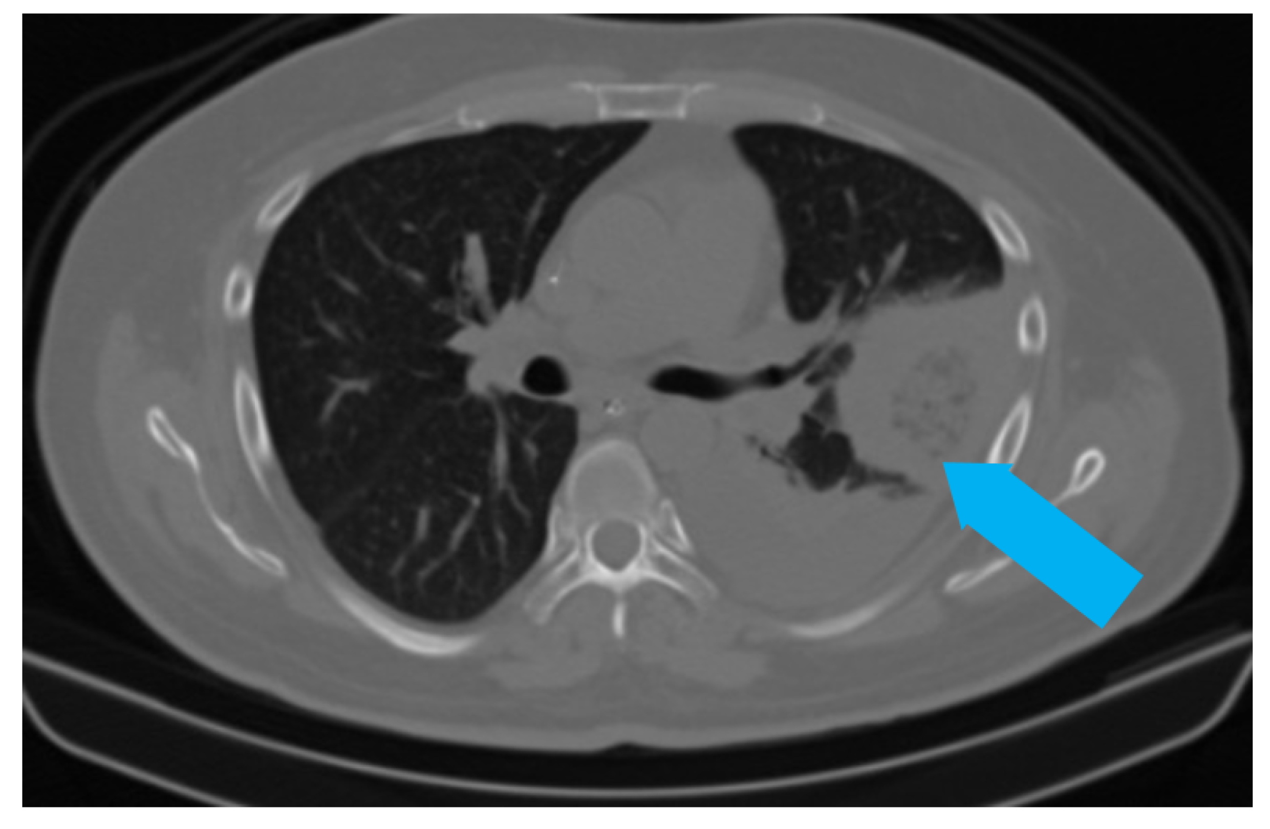 Jof 08 00711 g002 550