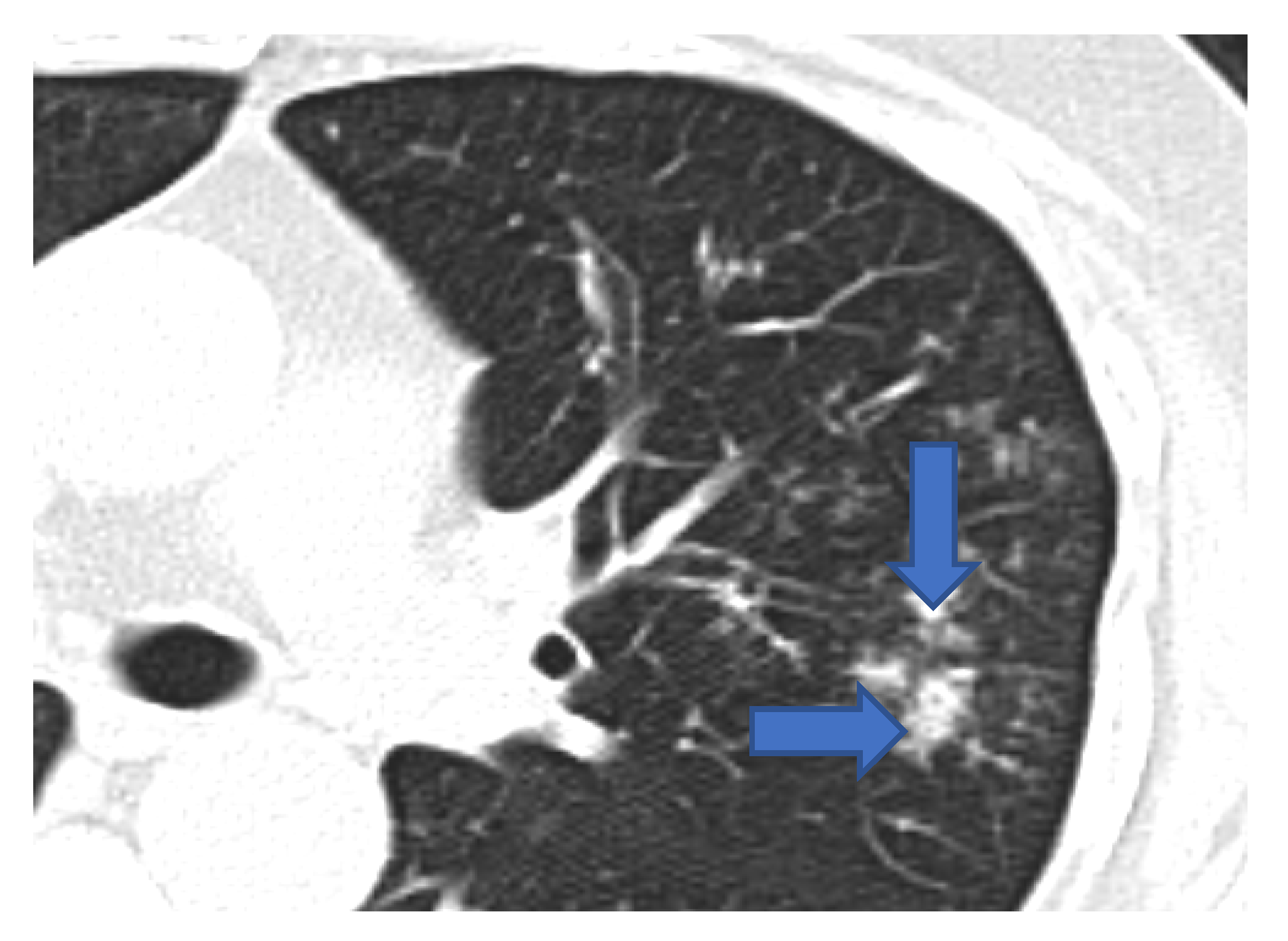 Jof 08 00711 g003 550