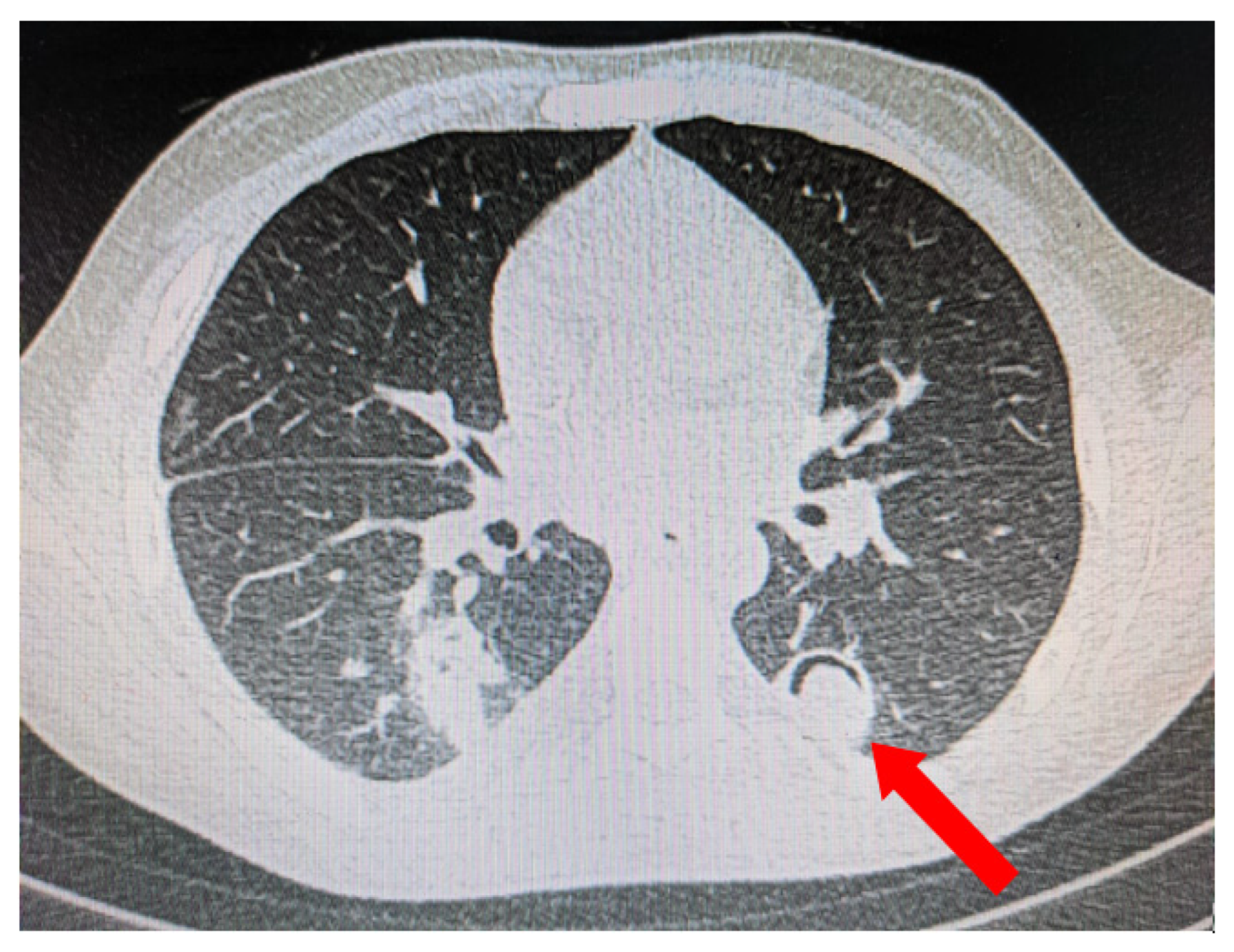 Jof 08 00711 g004 550