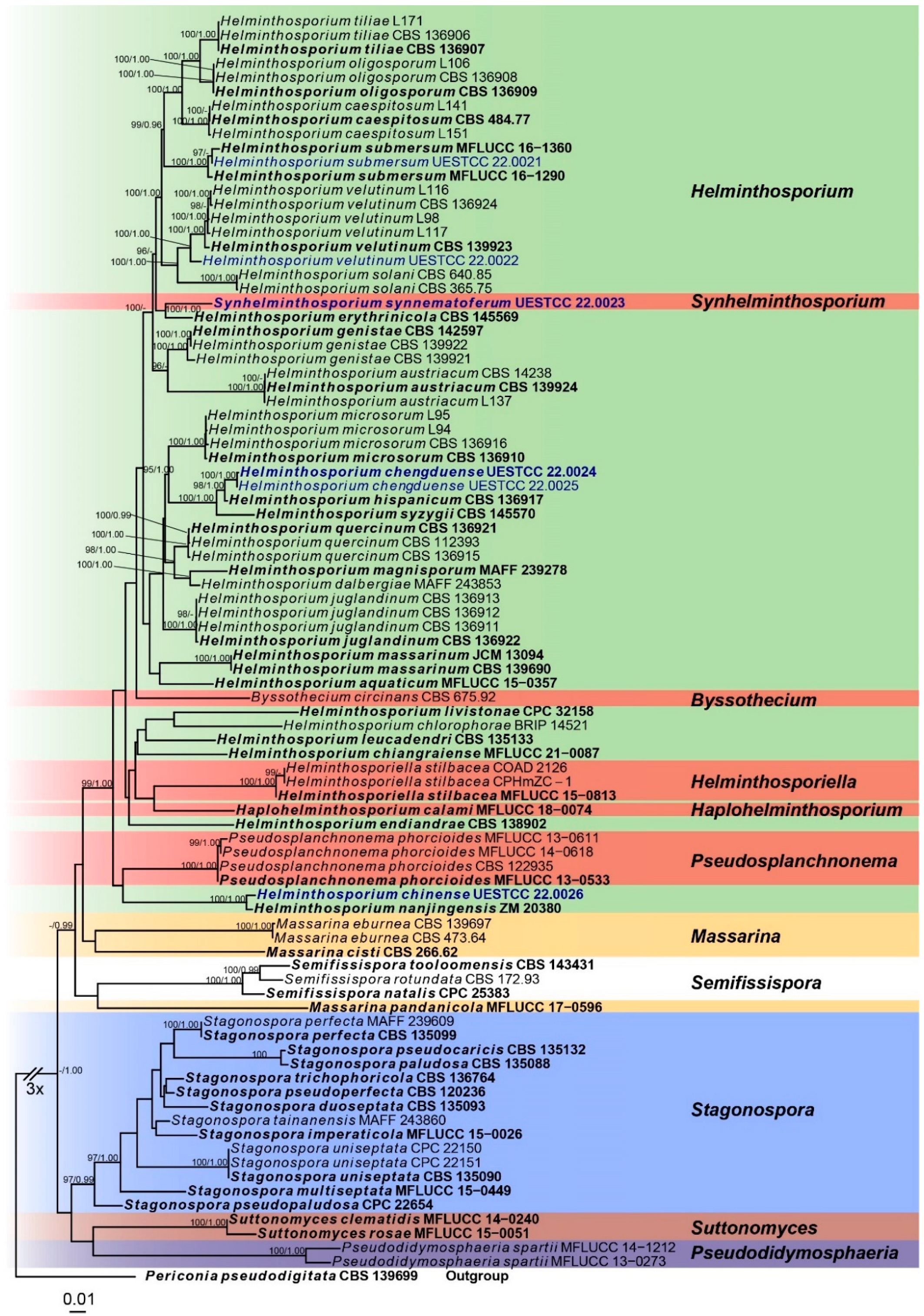 Jof 08 00712 g001 550