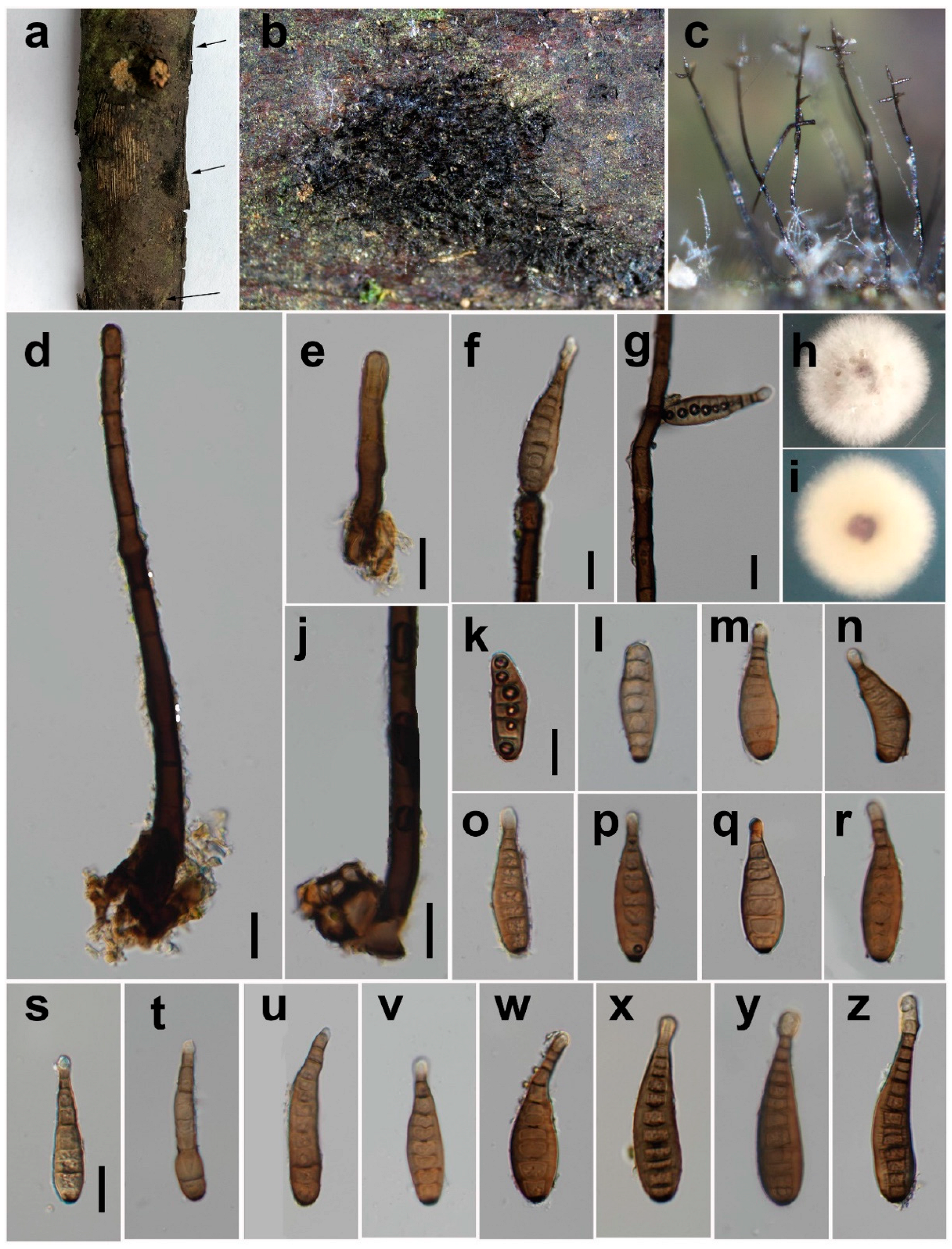 Jof 08 00712 g005 550