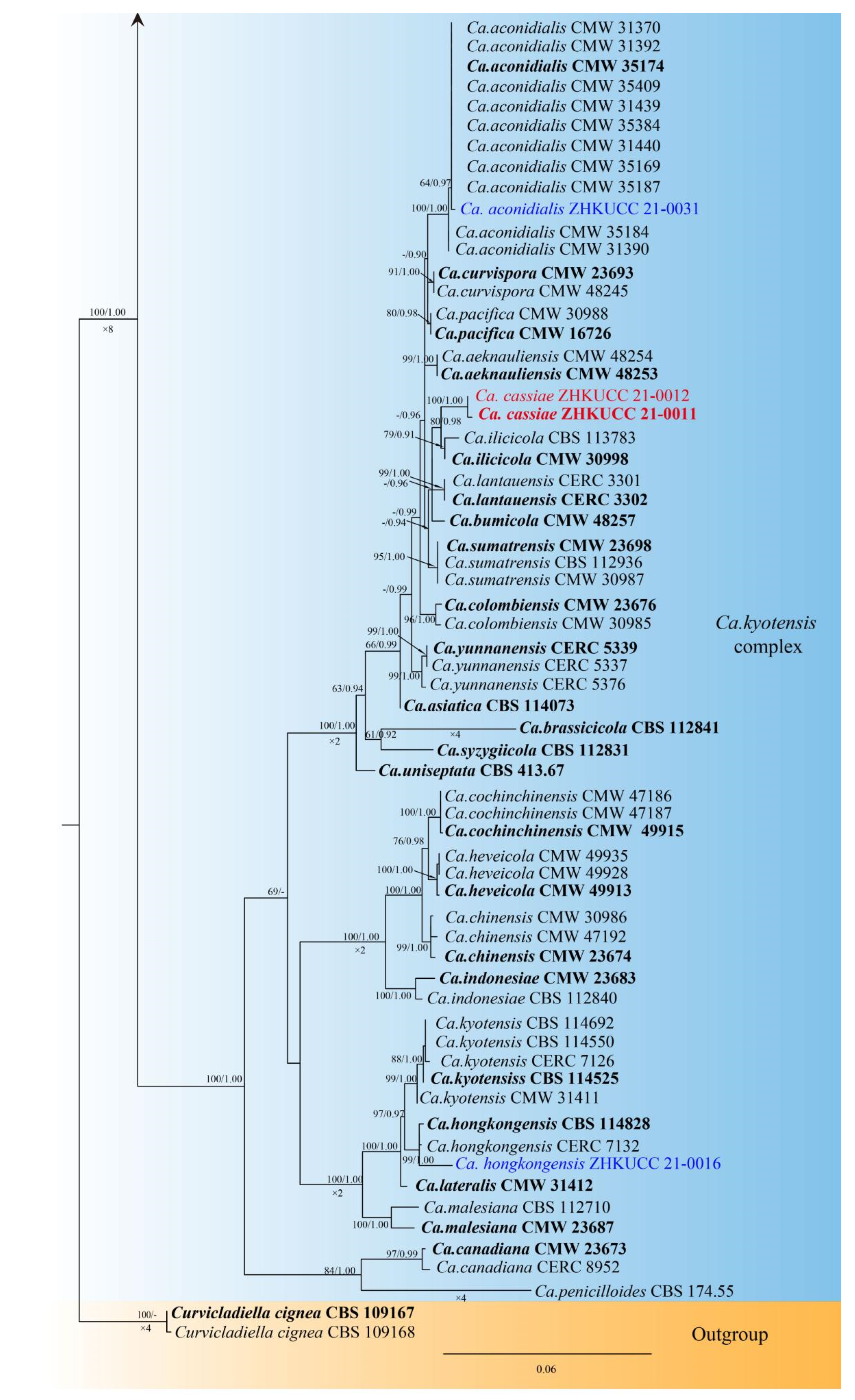 Jof 08 00719 g002b 550