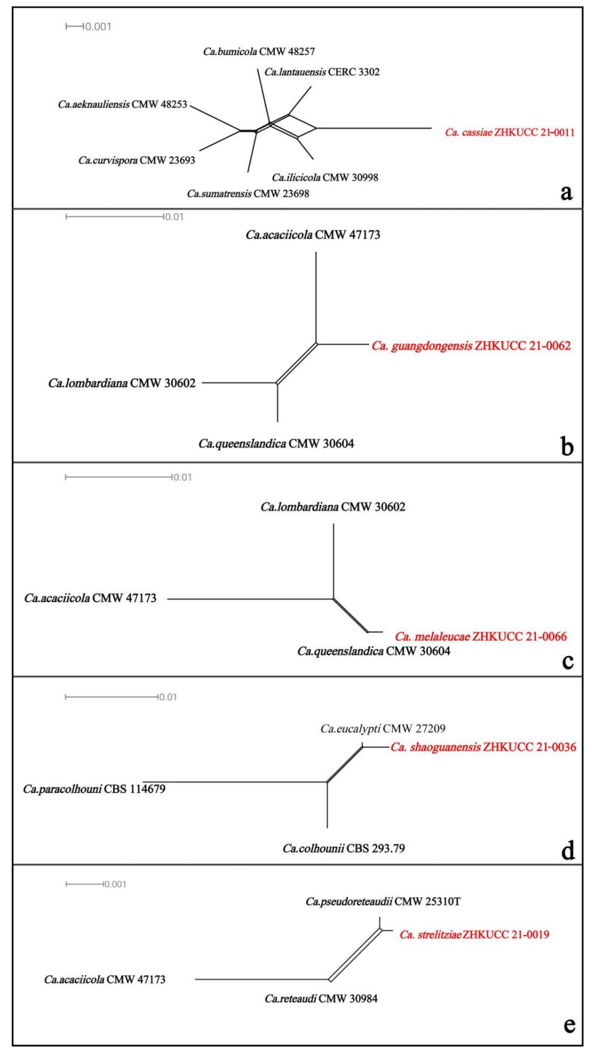 Jof 08 00719 g003 550