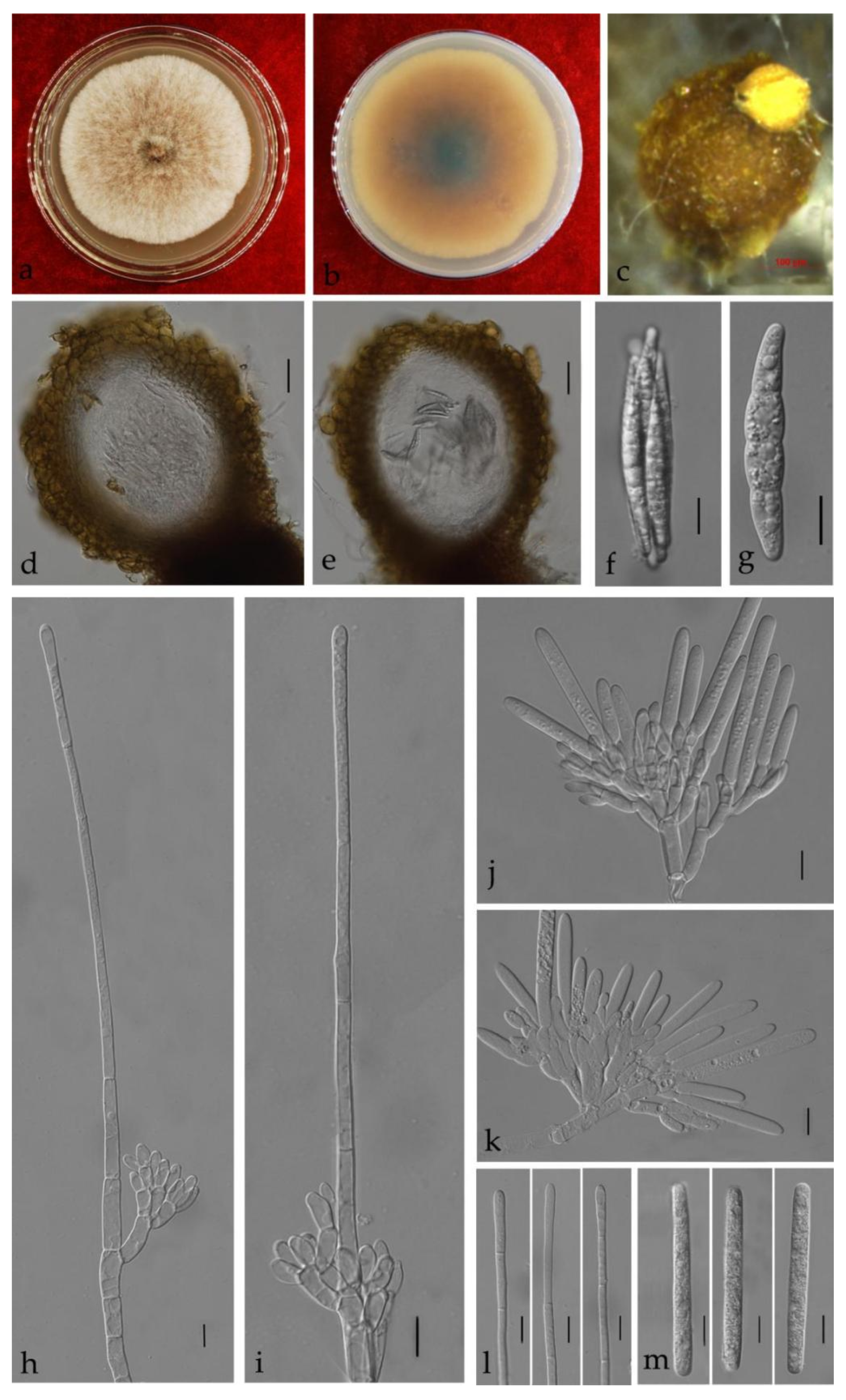 Jof 08 00719 g011 550