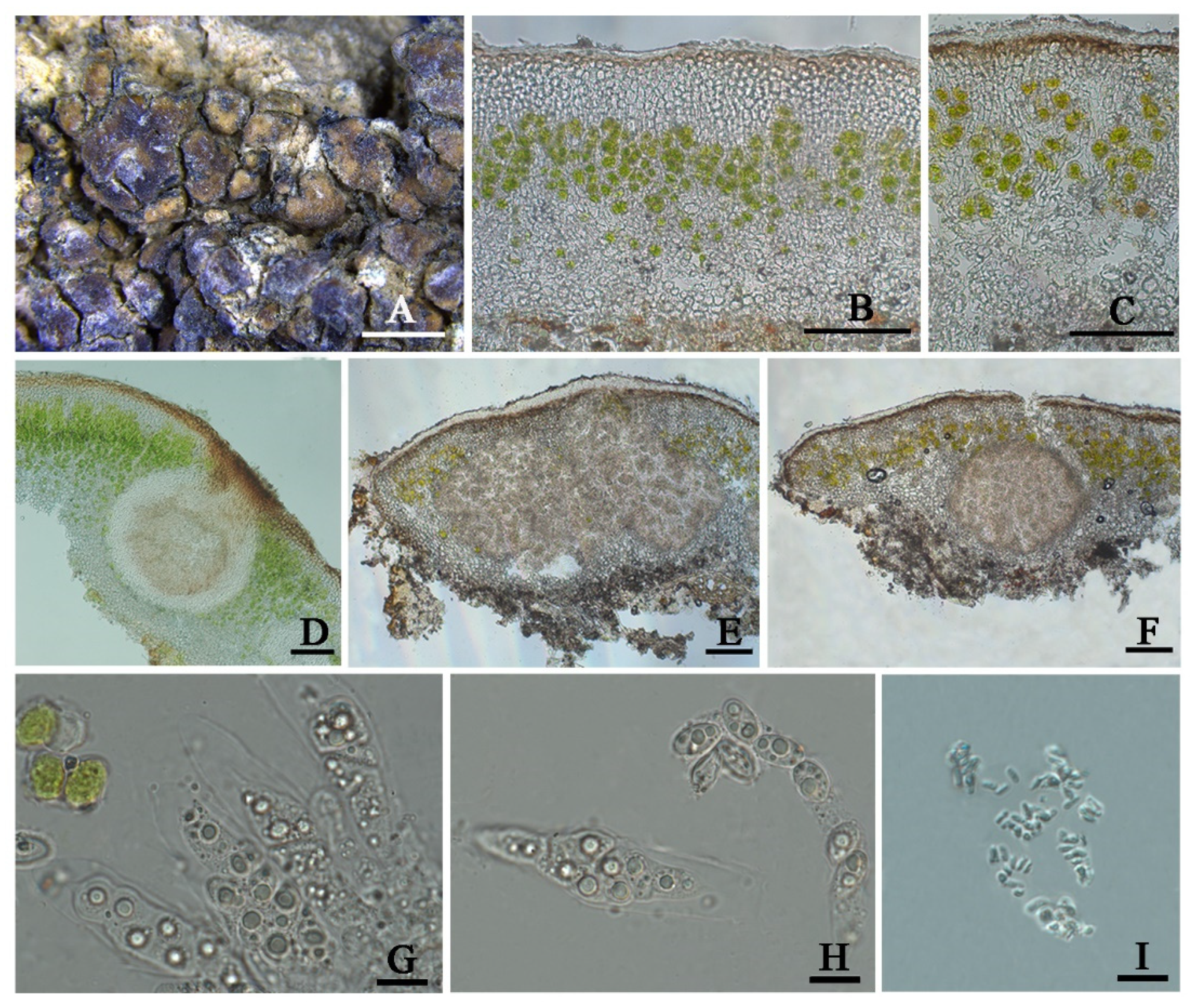 Jof 08 00729 g006 550