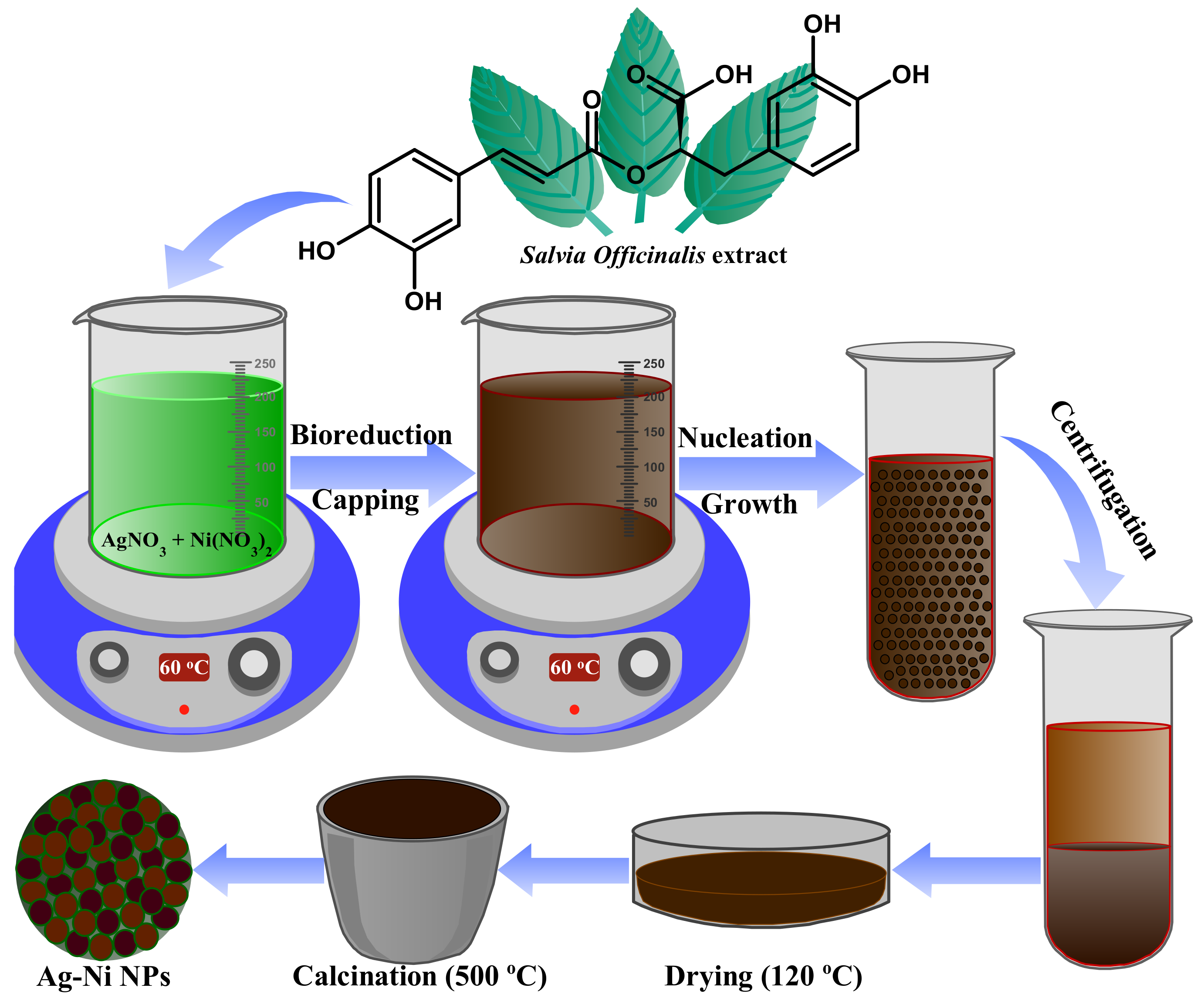 Jof 08 00733 g001 550