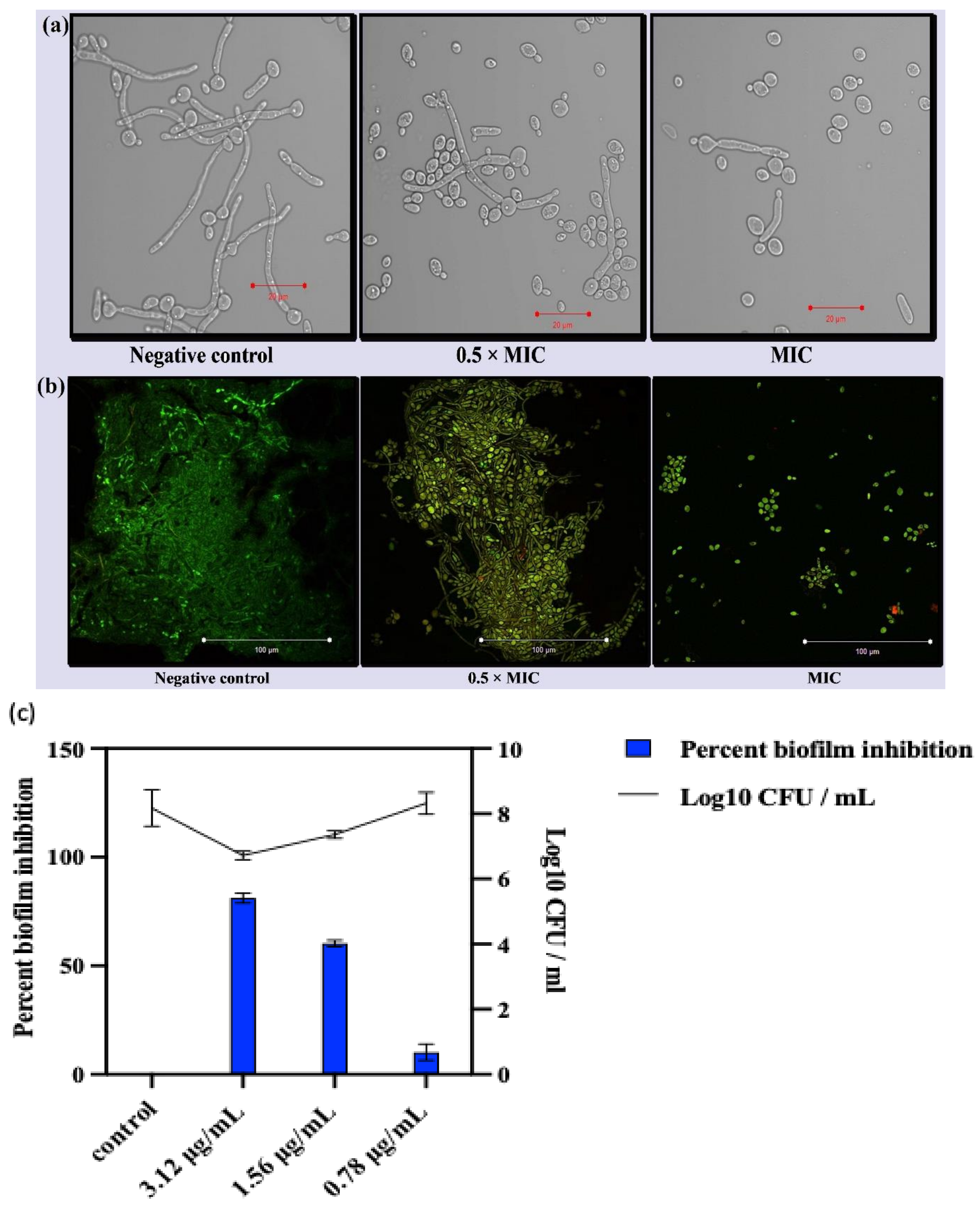 Jof 08 00733 g005 550