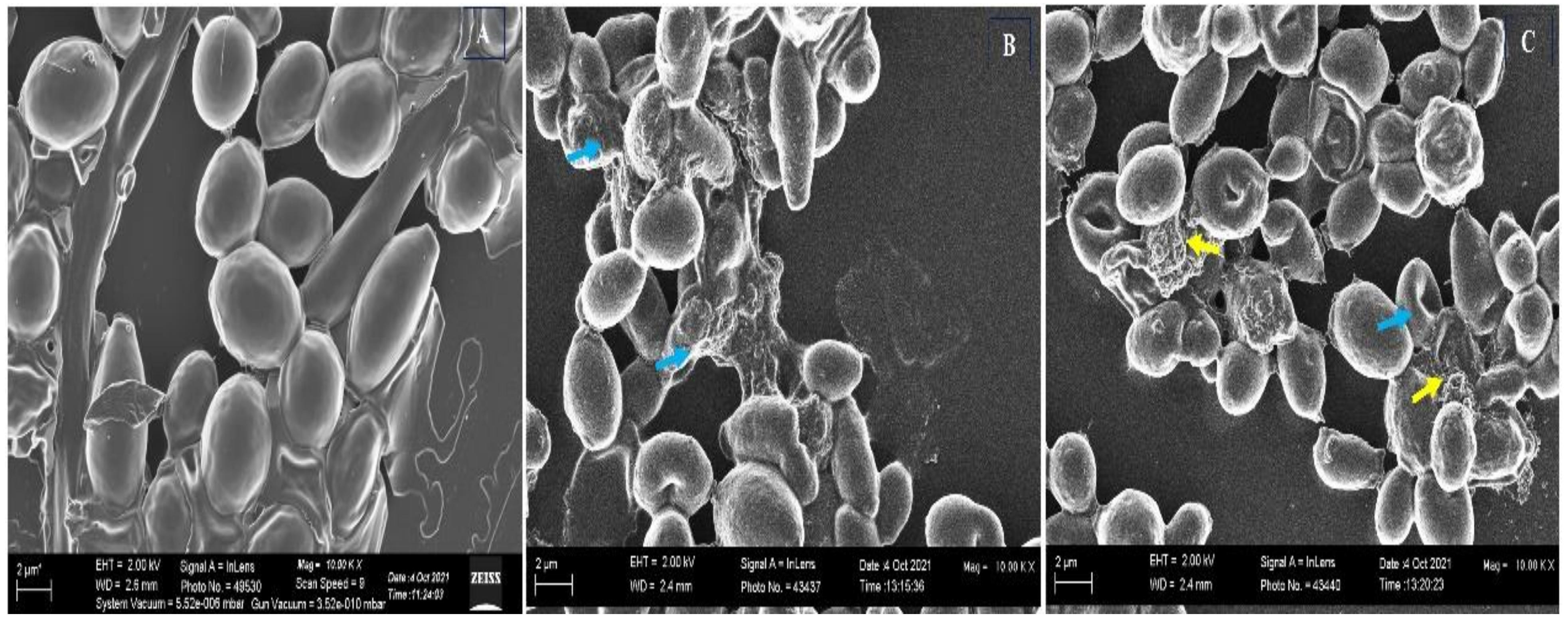 Jof 08 00733 g008 550