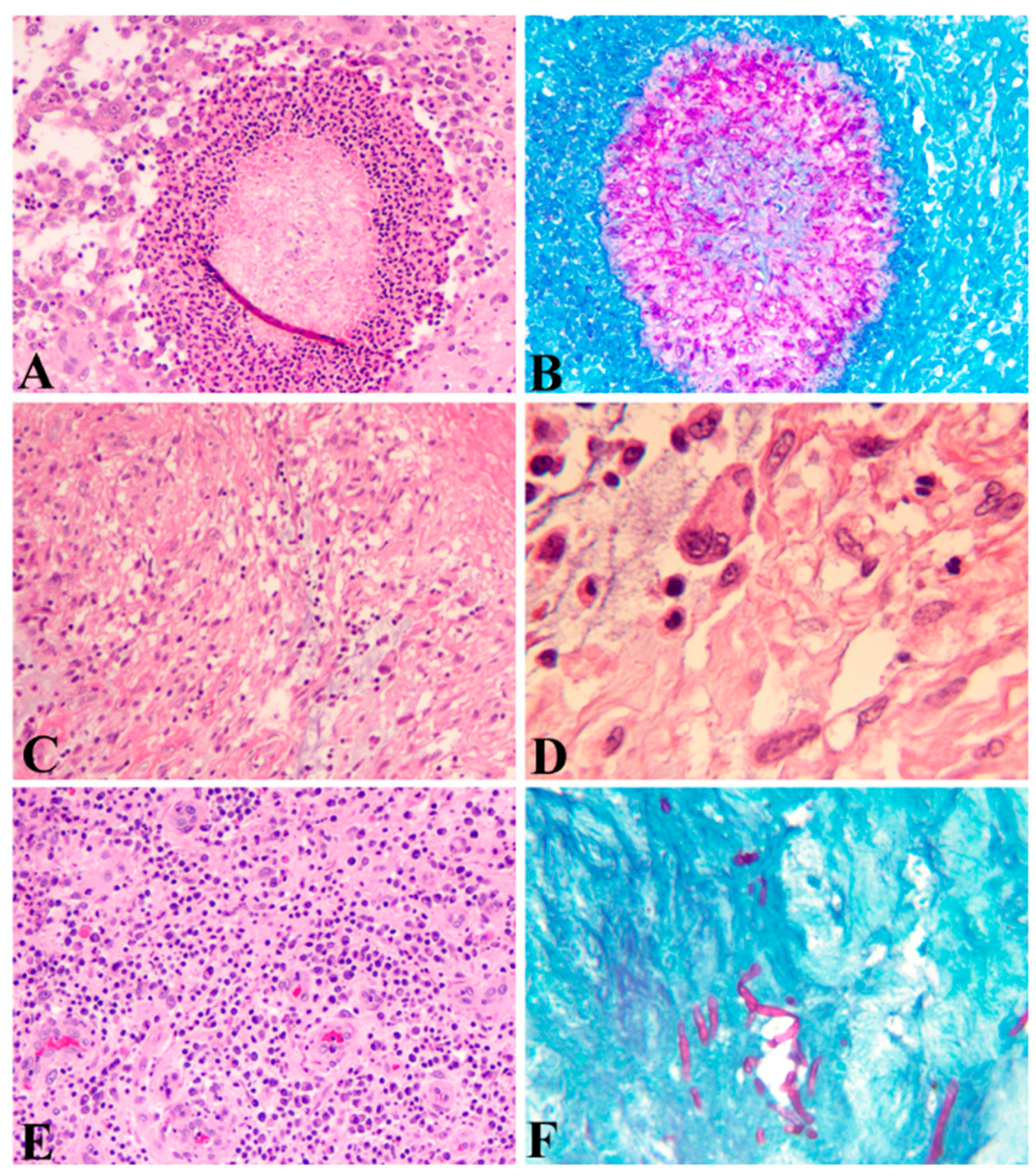 Jof 08 00743 g001 Jof 08 00743 g001