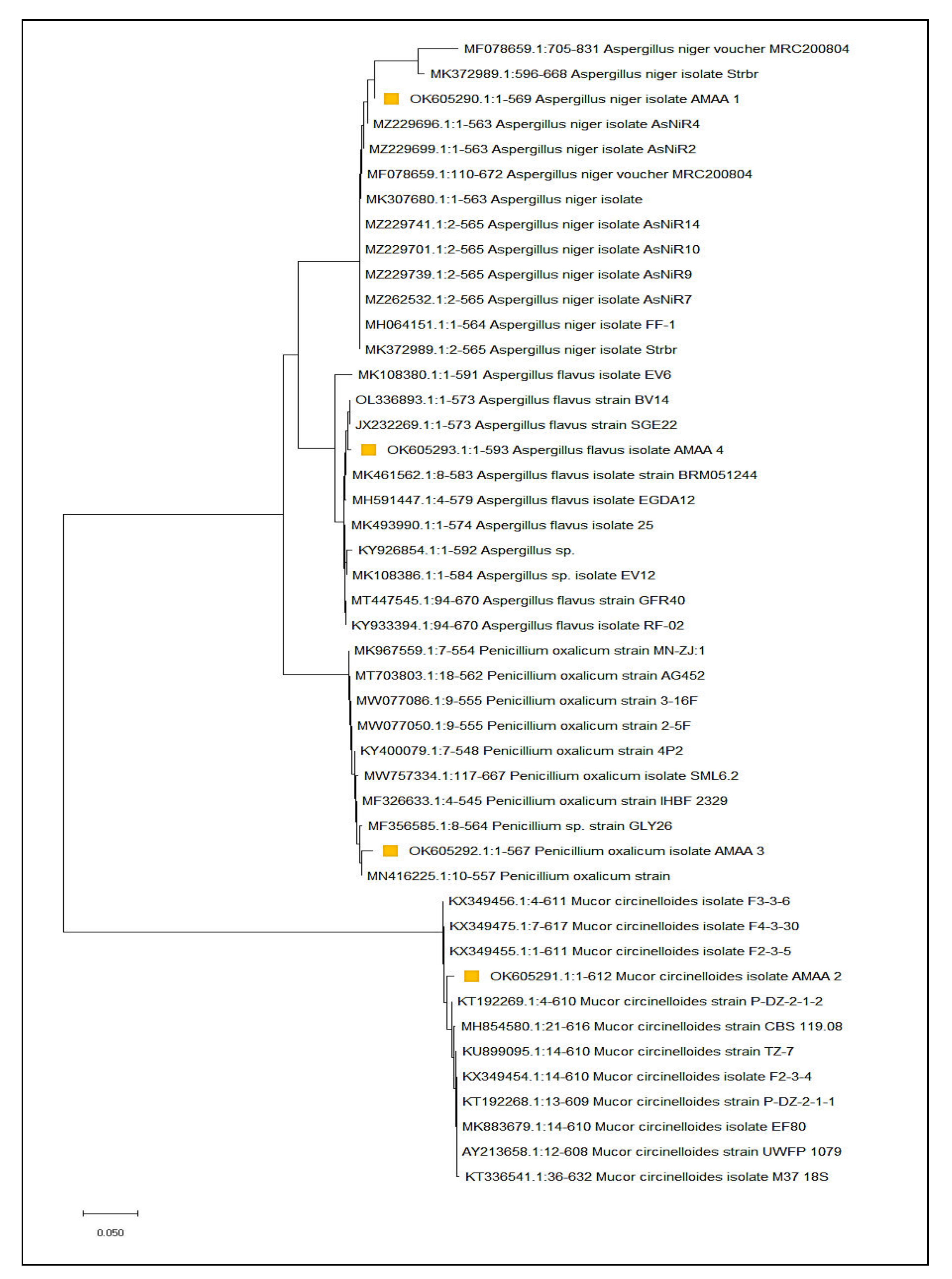 Jof 08 00775 g001 550