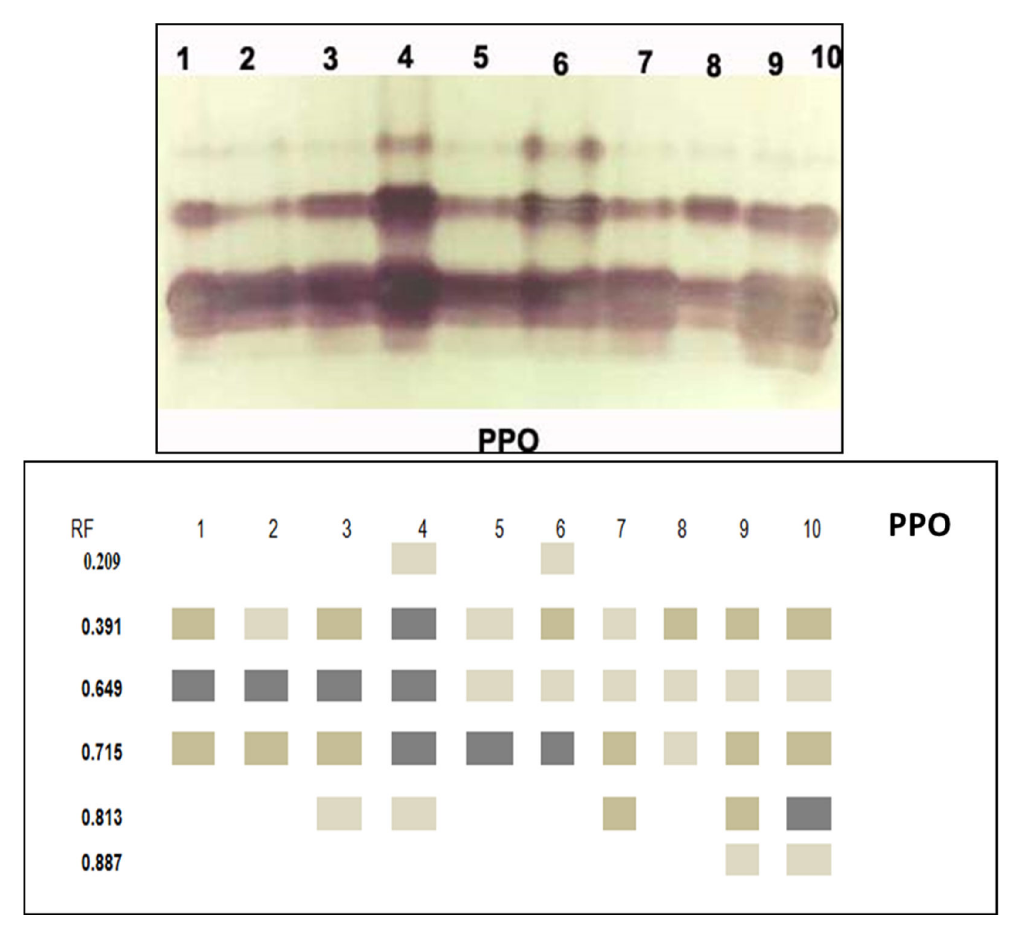 Jof 08 00775 g008 550