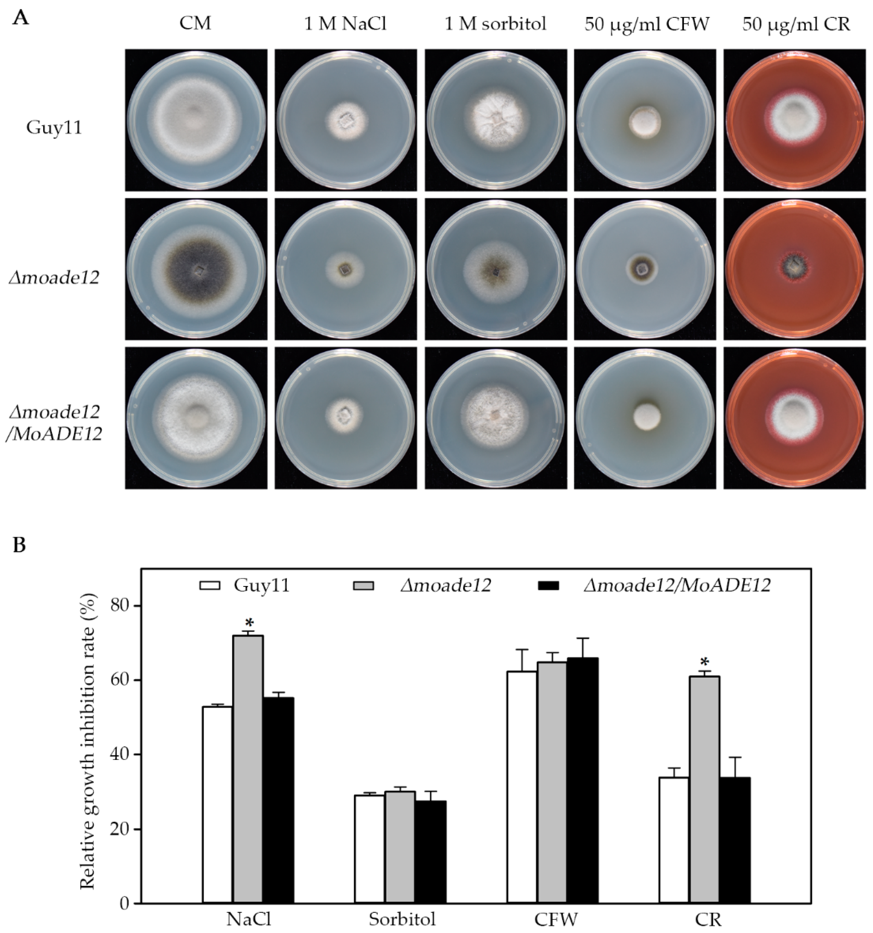 Jof 08 00780 g004 Jof 08 00780 g004
