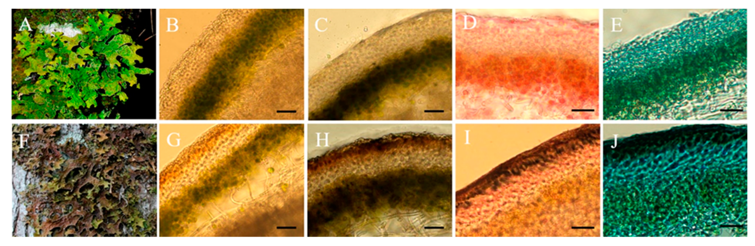 Jof 08 00791 g001 550