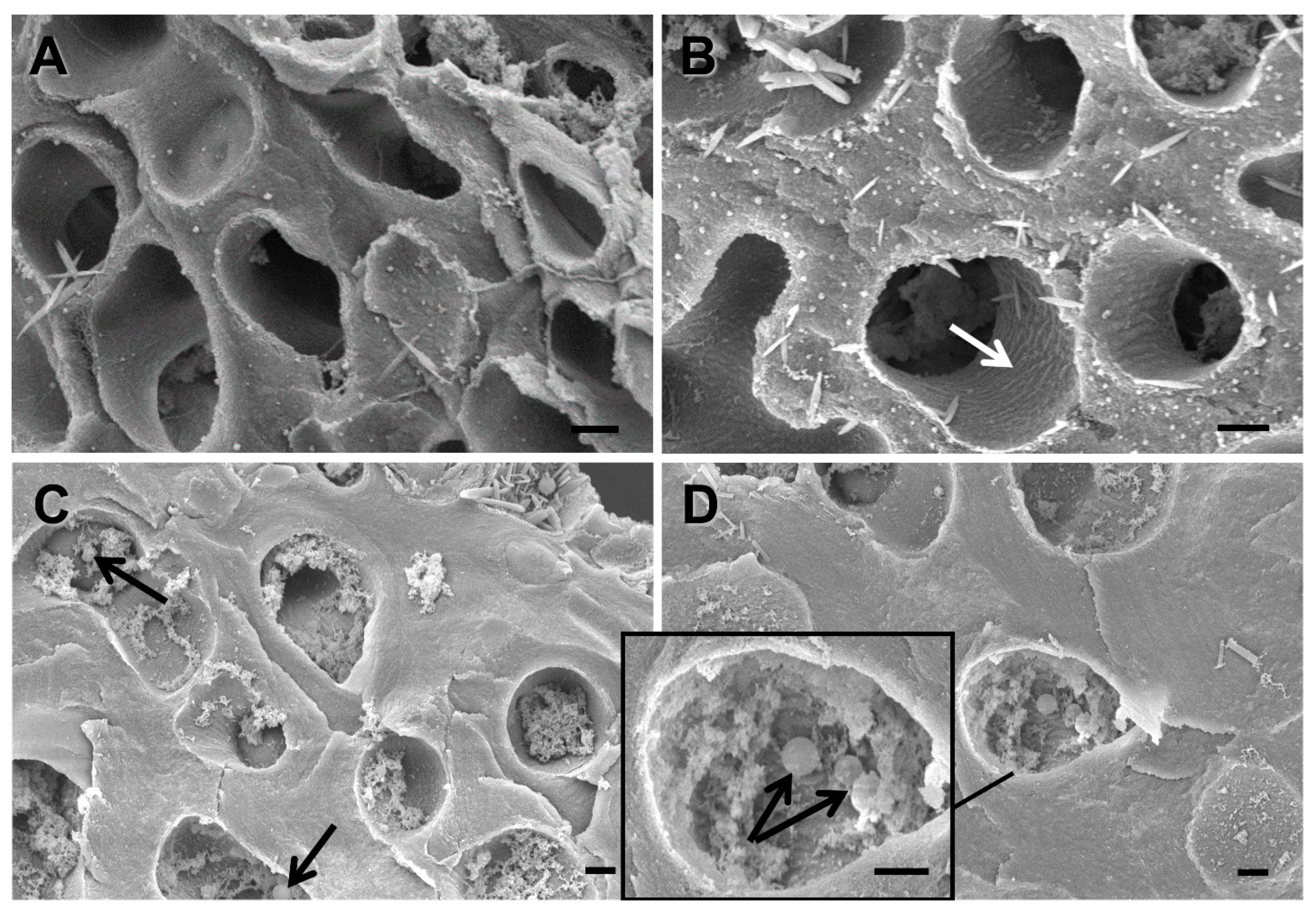 Jof 08 00791 g003 550