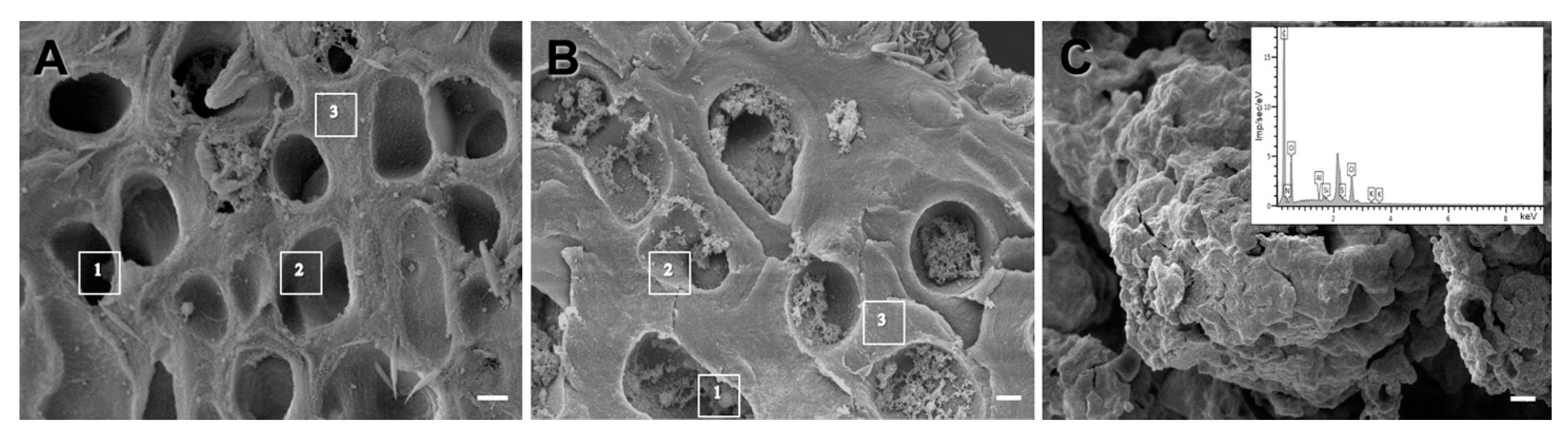 Jof 08 00791 g004 550