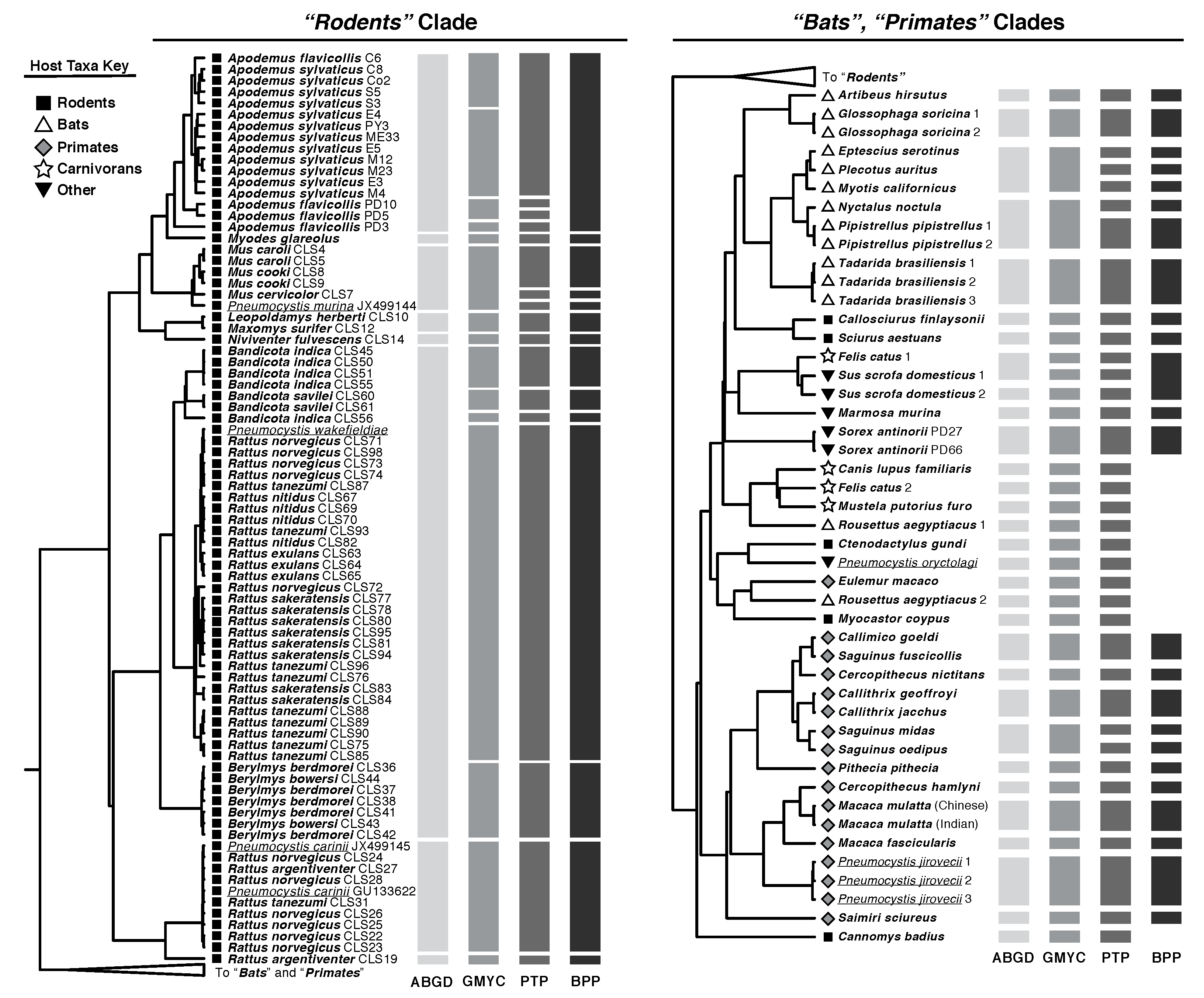 Jof 08 00799 g002 550