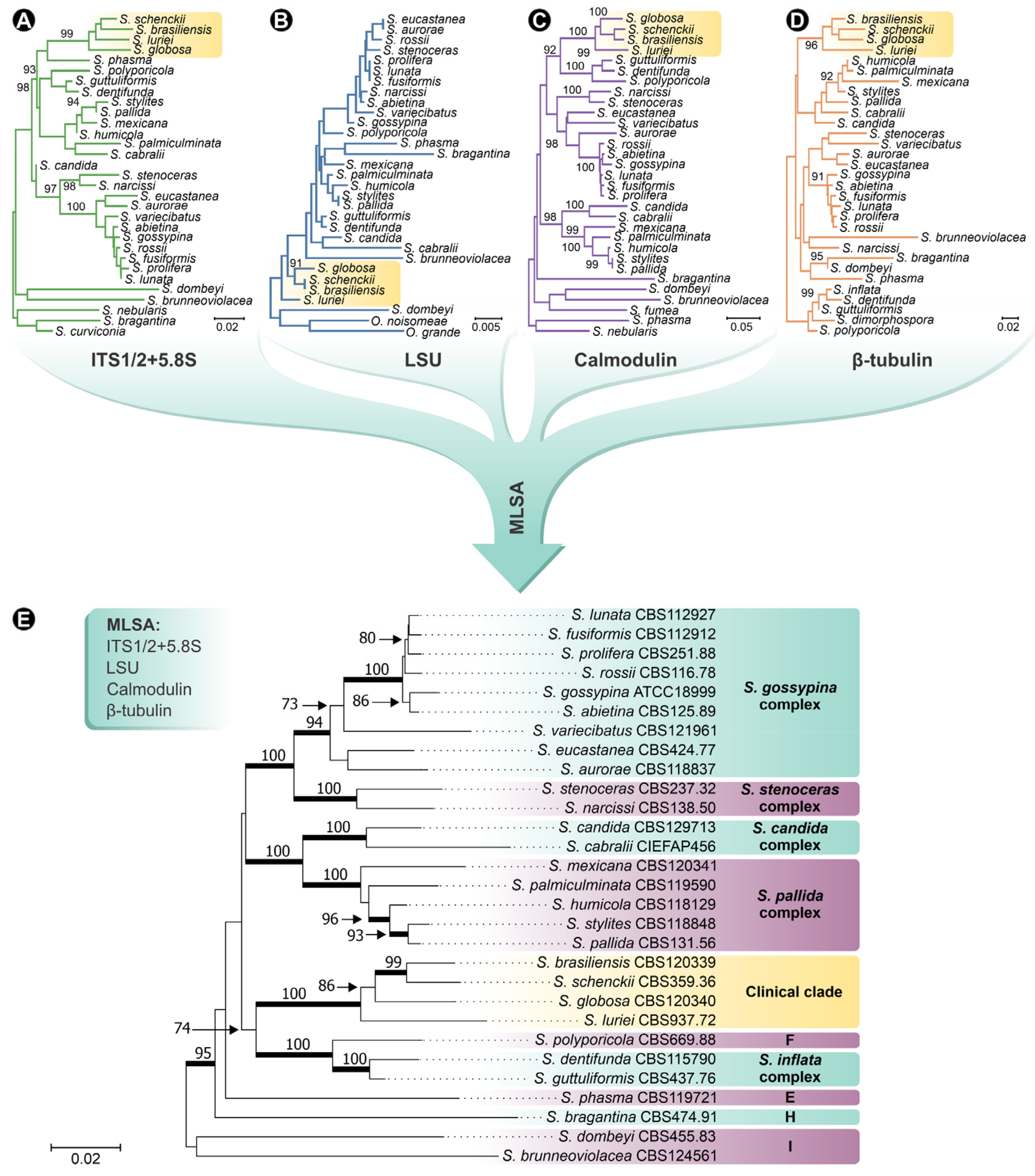 Jof 08 00809 g001 Jof 08 00809 g001