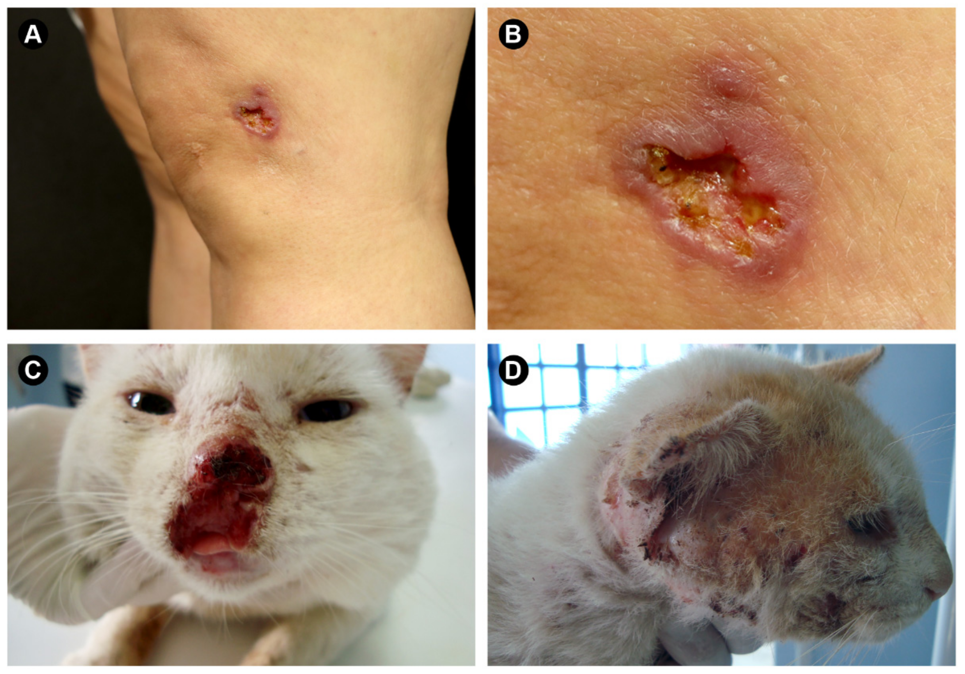 Jof 08 00809 g002 Jof 08 00809 g002