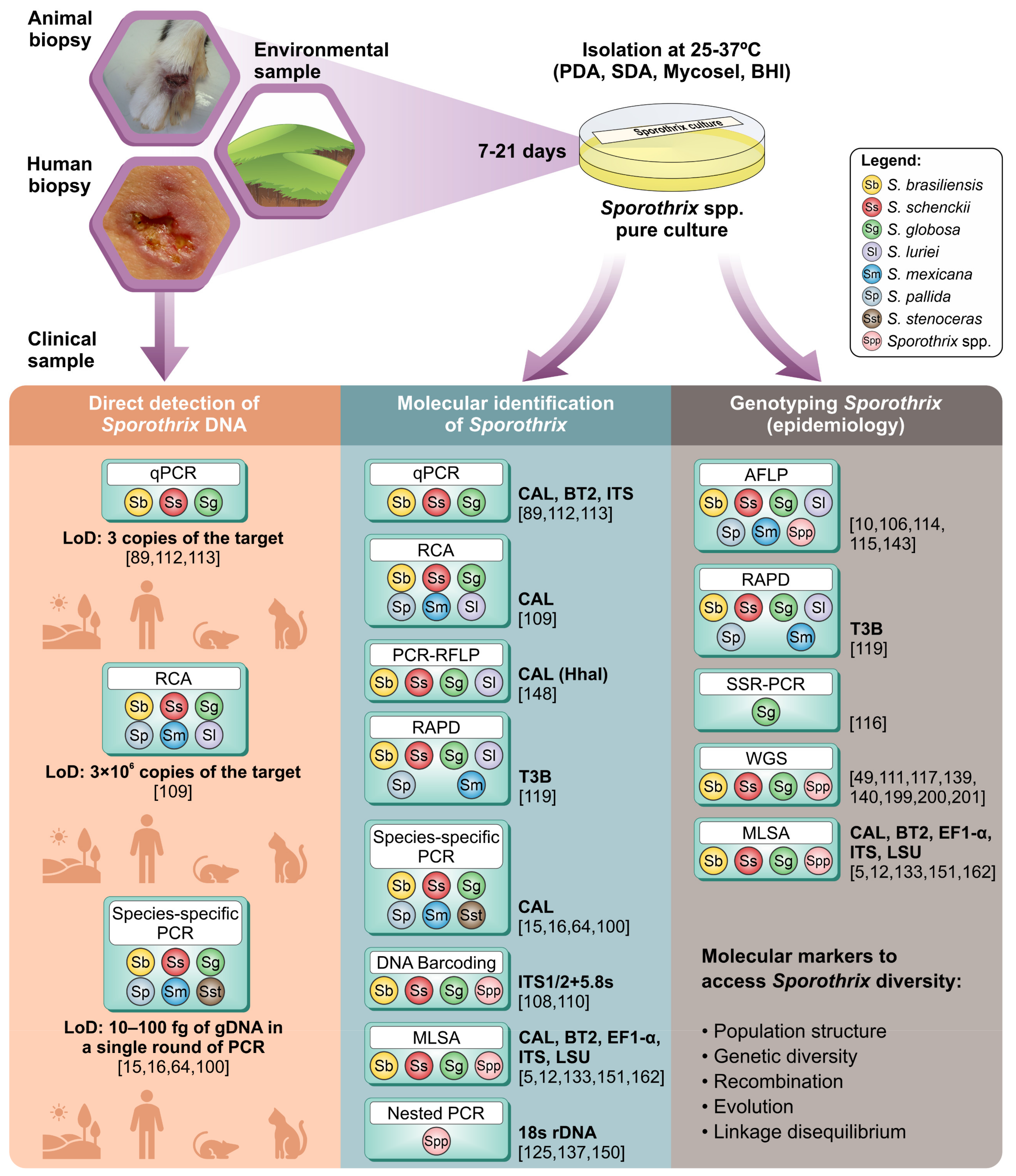 Jof 08 00809 g010 Jof 08 00809 g010