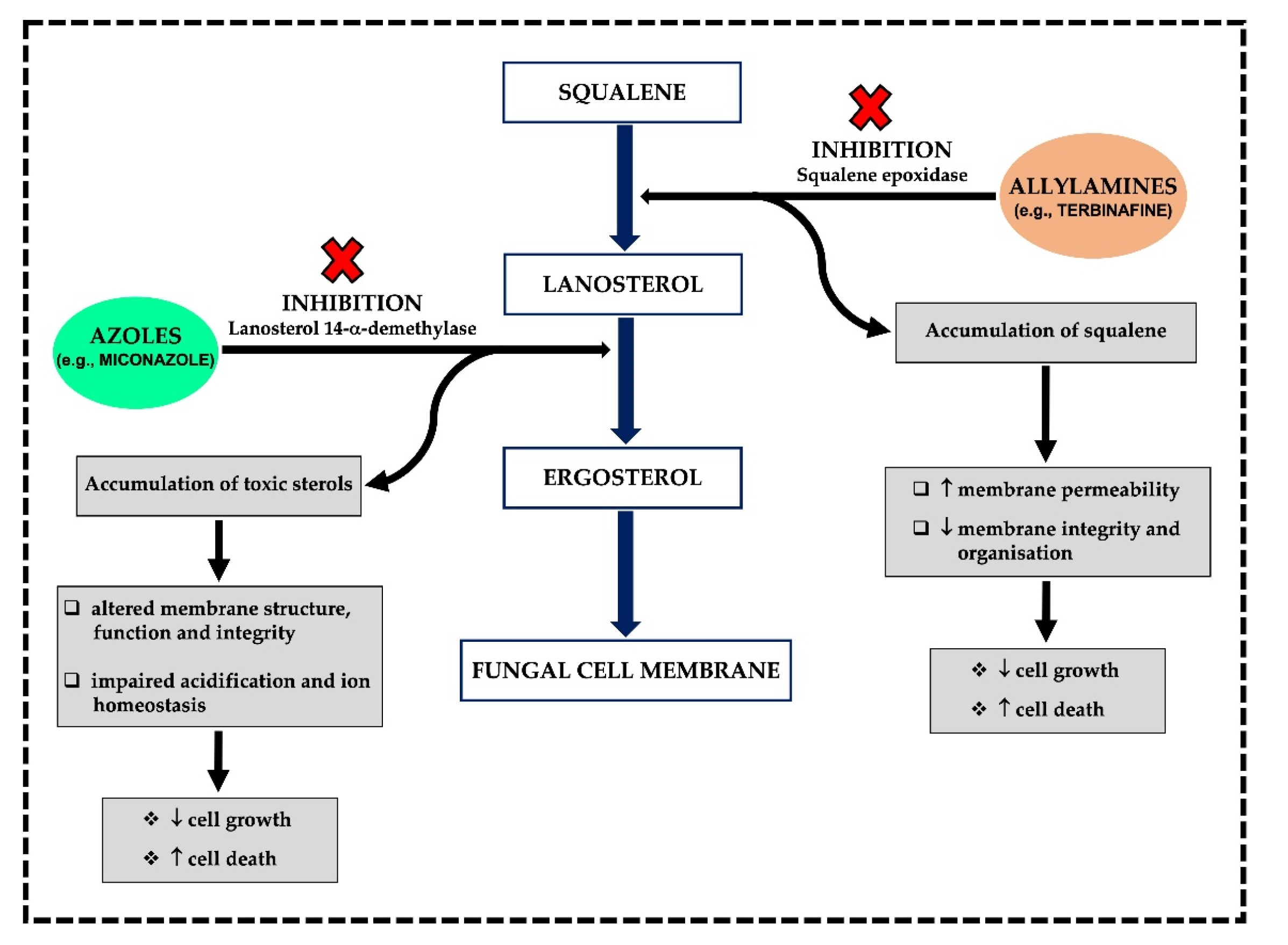 JoF Free FullText Emerging Trends in the Use of Topical Antifungal
