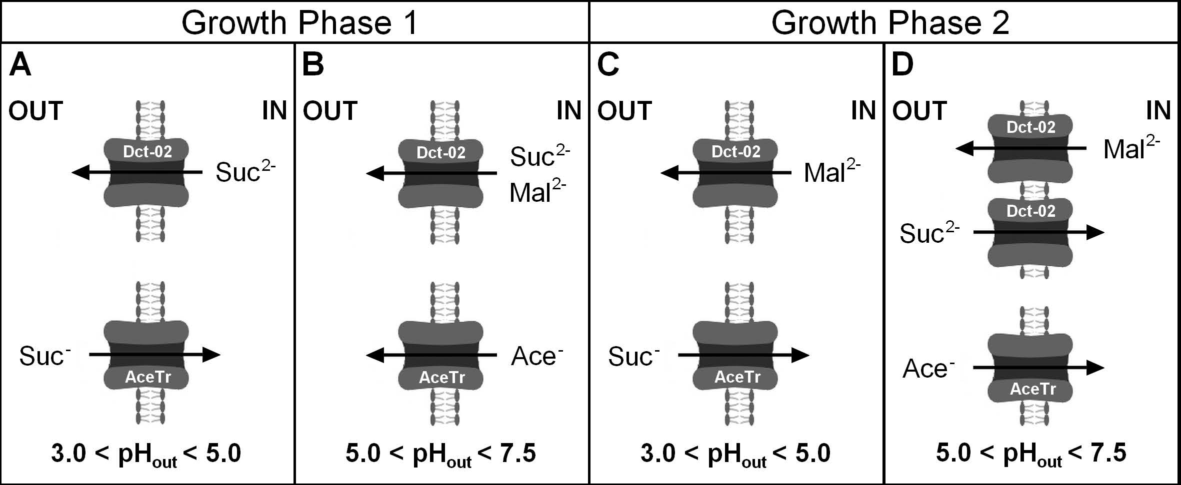 Jof 08 00822 g006 Jof 08 00822 g006