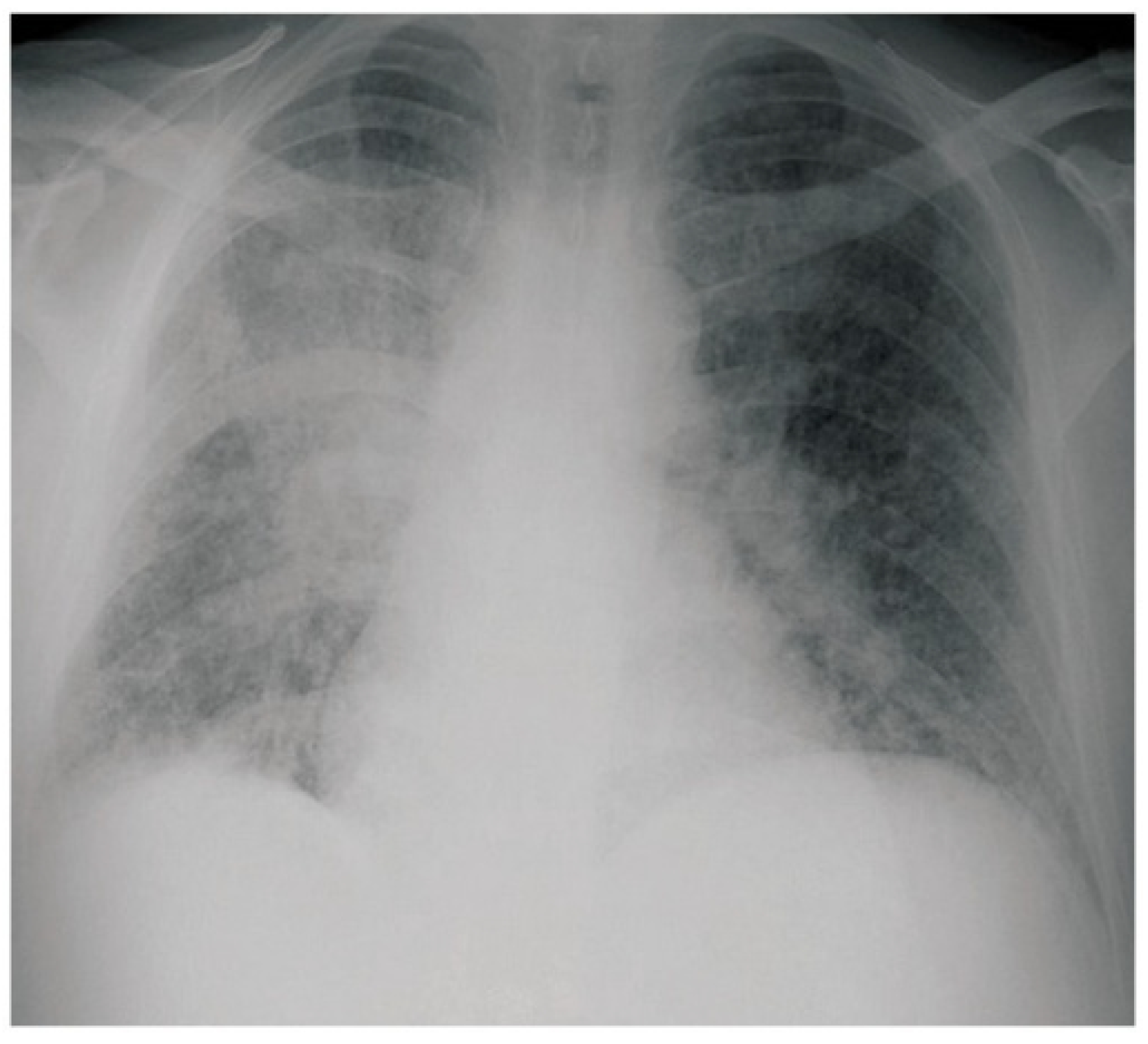 Jof 08 00824 g002 Jof 08 00824 g002