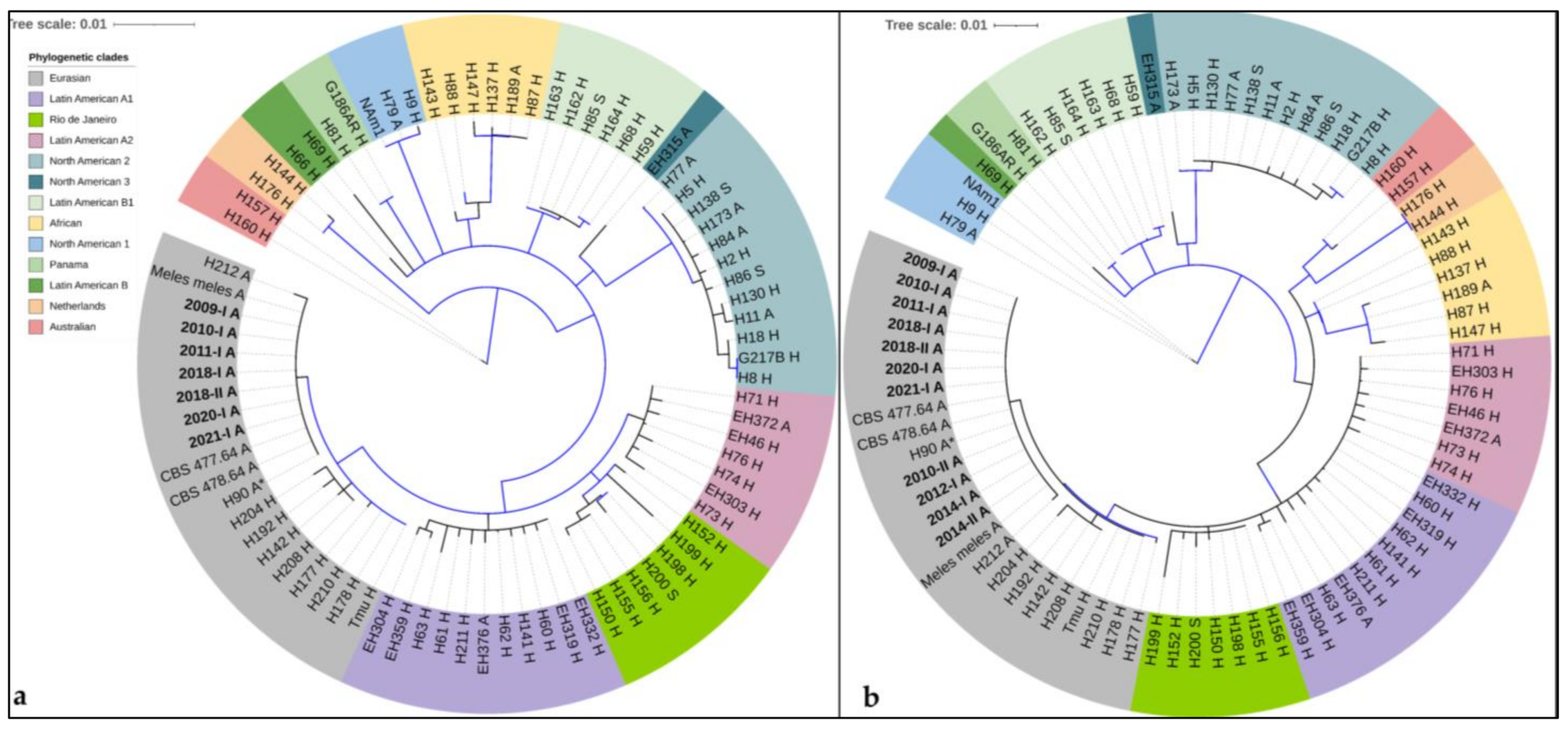 Jof 08 00833 g003 Jof 08 00833 g003