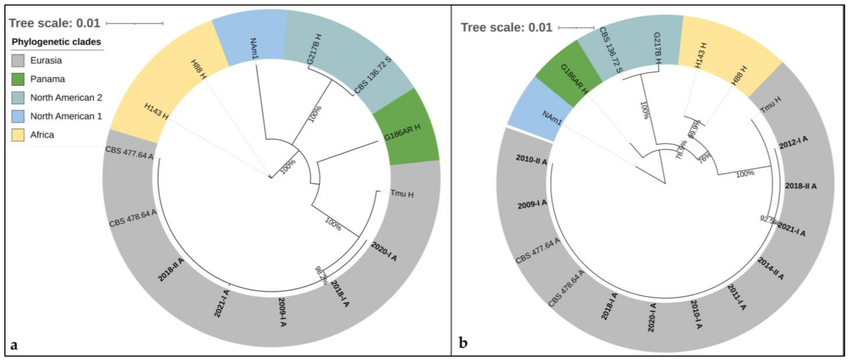 Jof 08 00833 g004 Jof 08 00833 g004