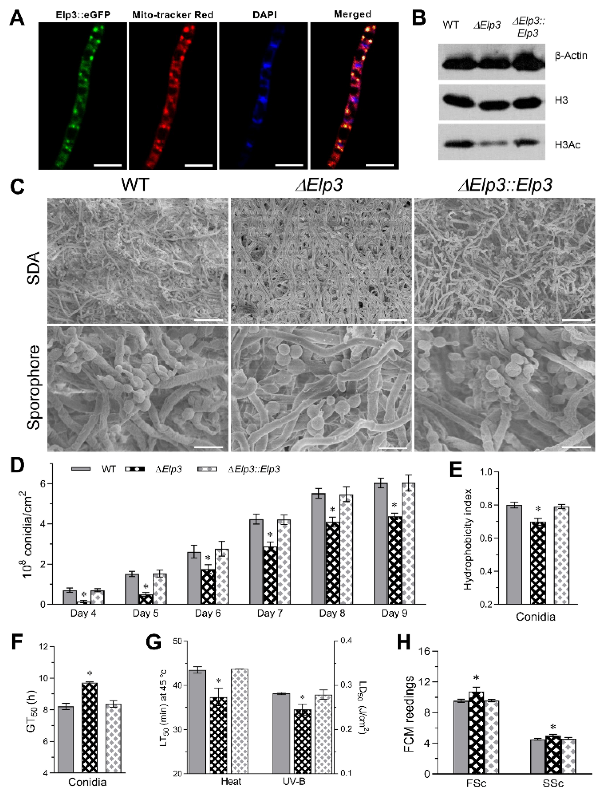 Jof 08 00834 g001 550
