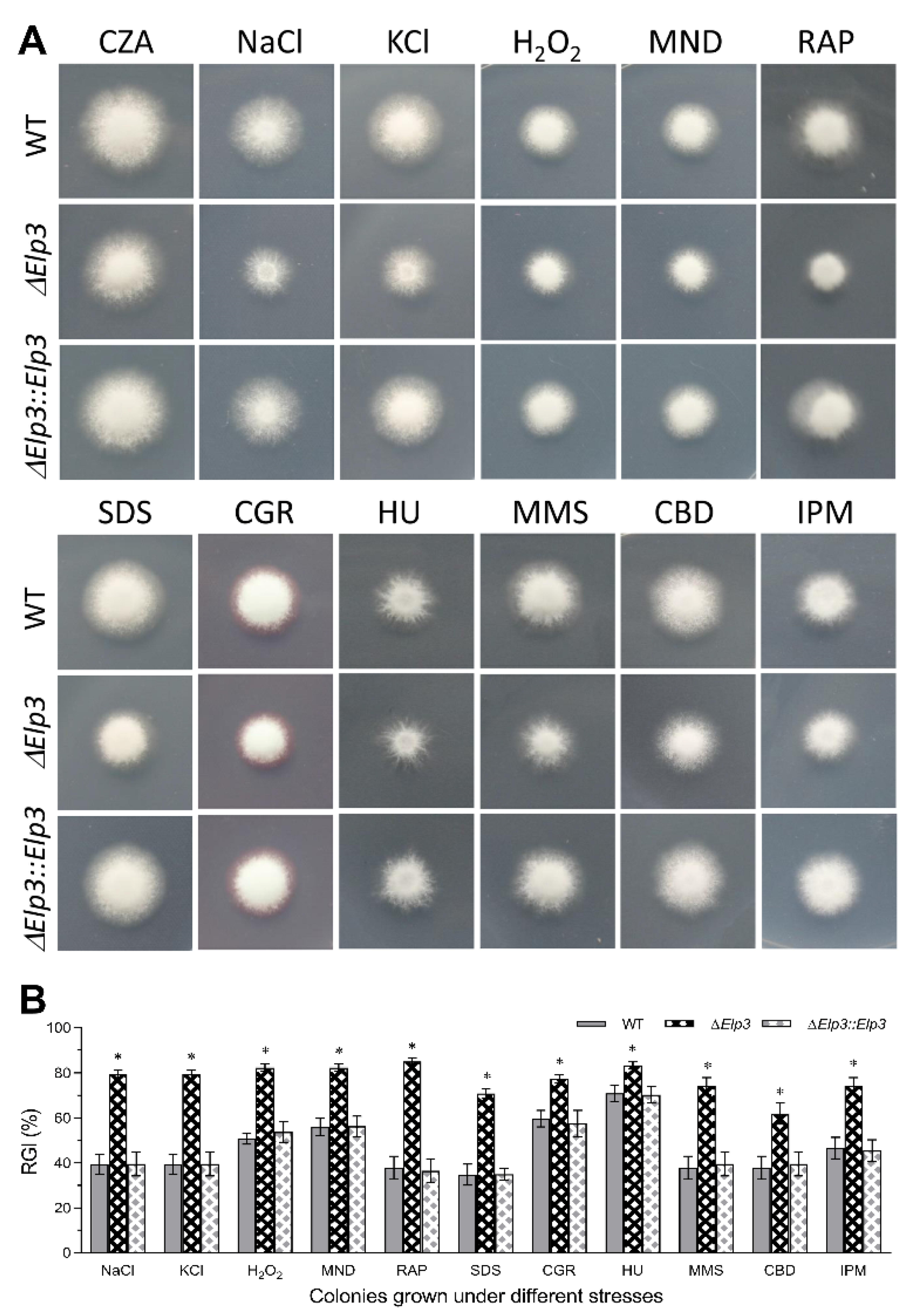 Jof 08 00834 g002 550