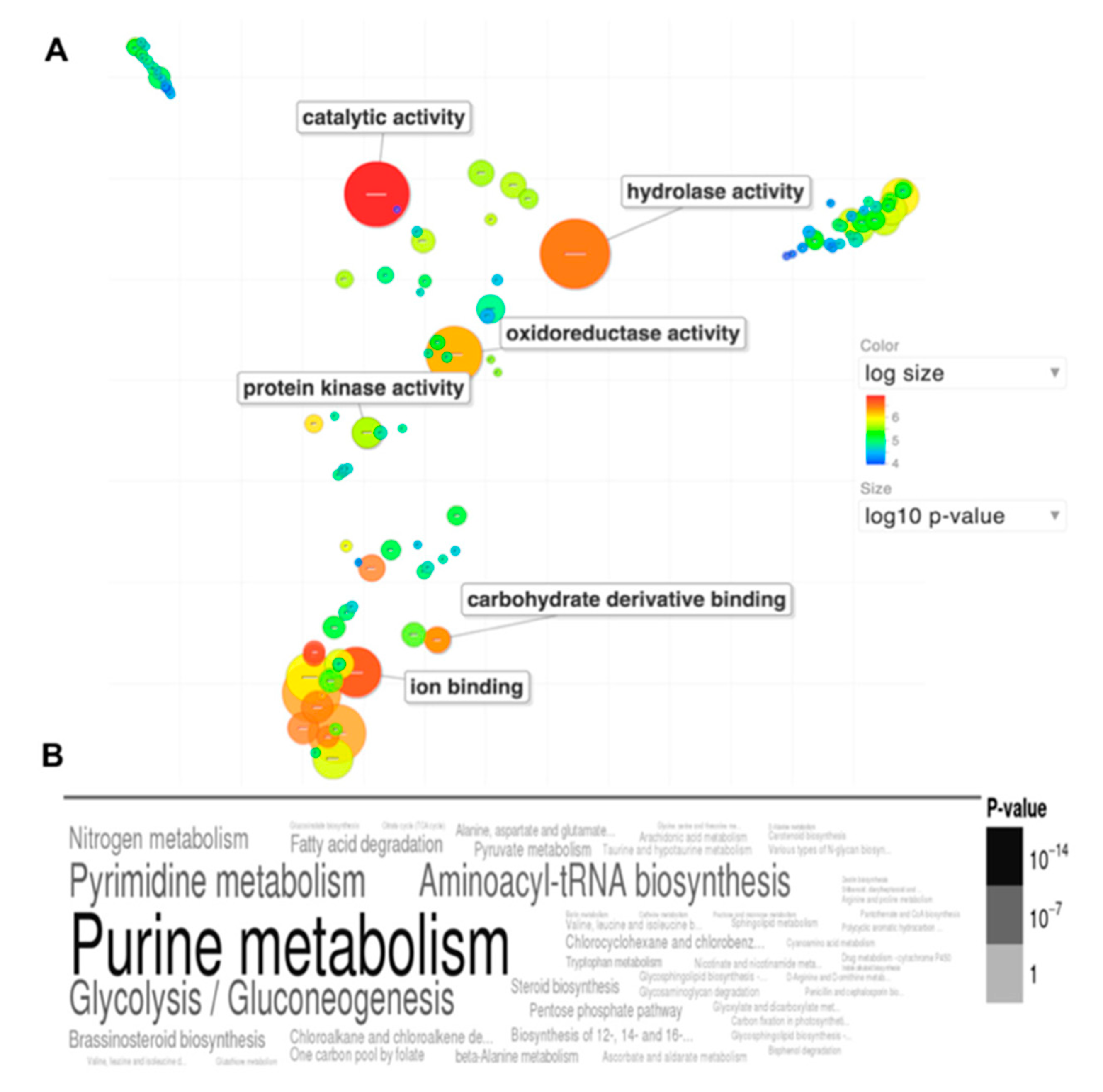 Jof 08 00859 g014 Jof 08 00859 g014