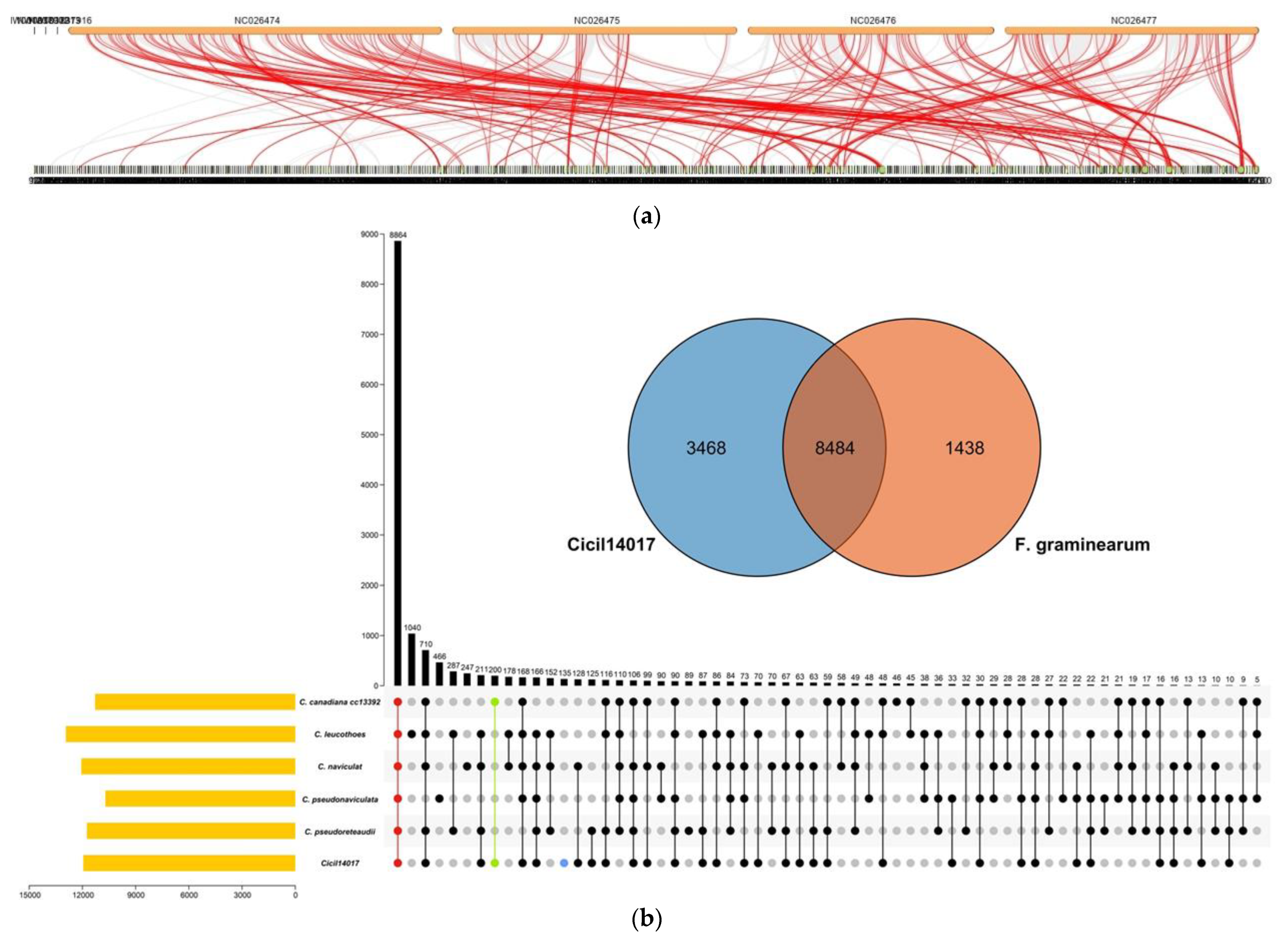 Jof 08 00869 g003a Jof 08 00869 g003a