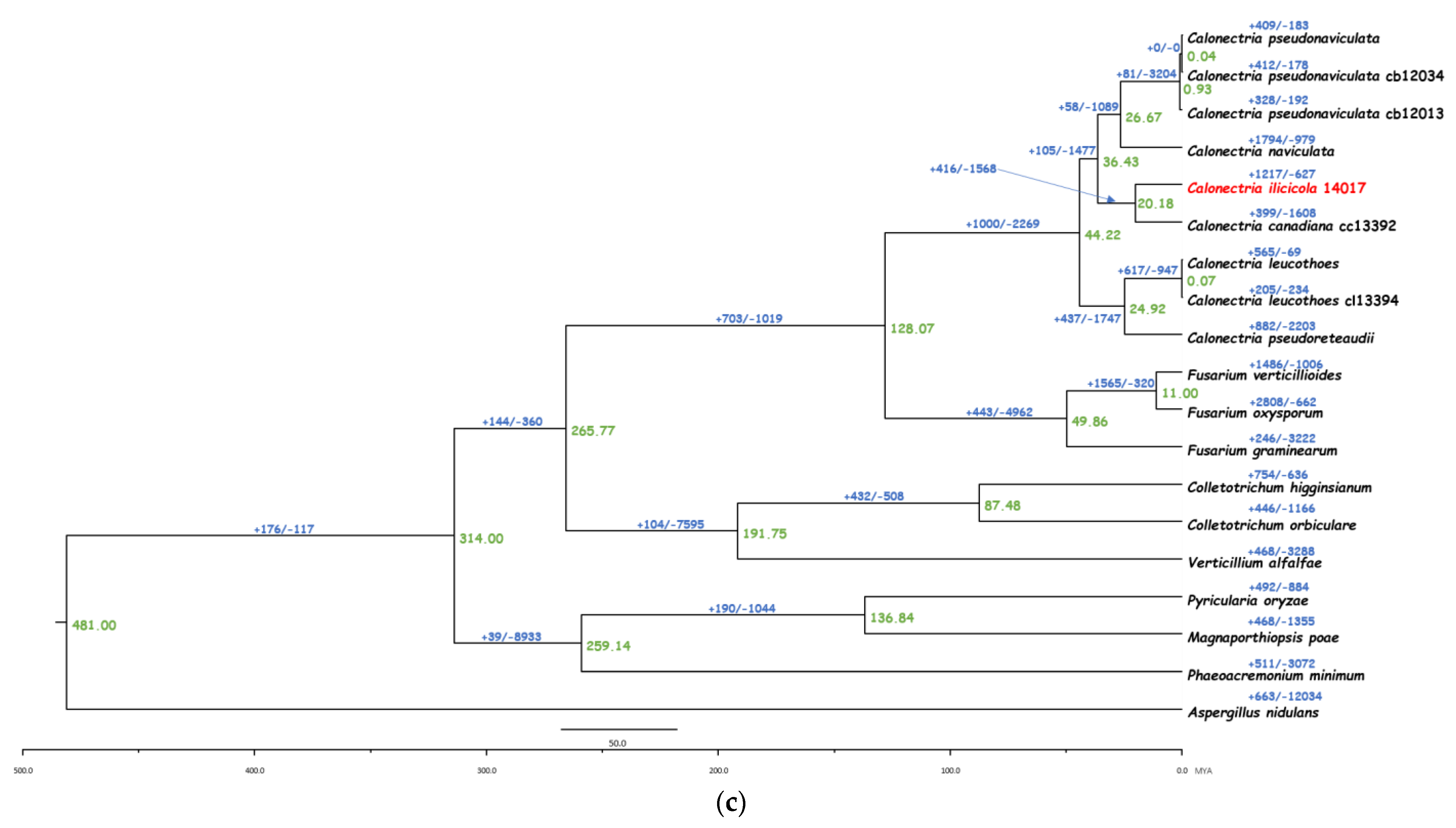 Jof 08 00869 g003b Jof 08 00869 g003b