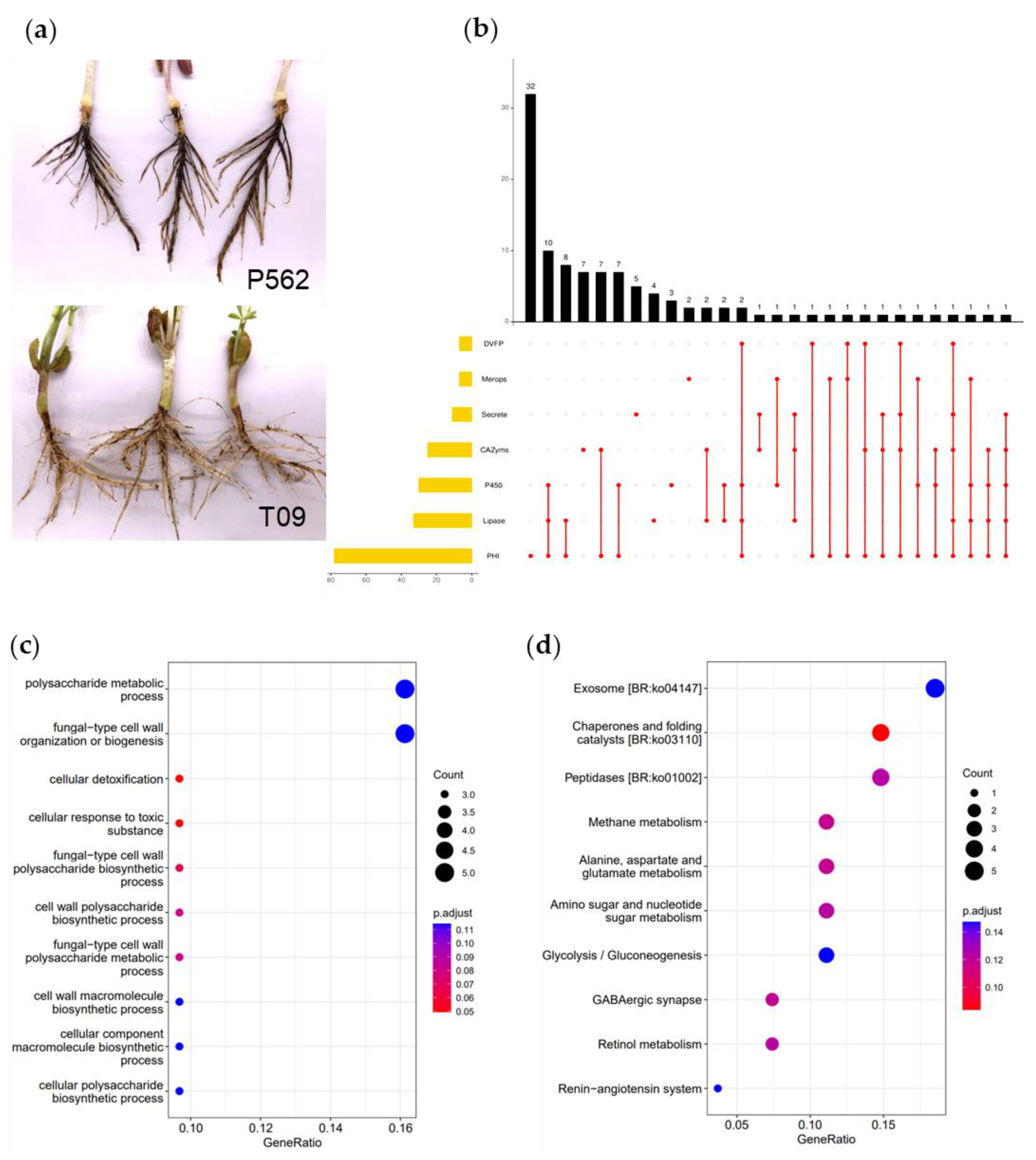 Jof 08 00869 g005 Jof 08 00869 g005