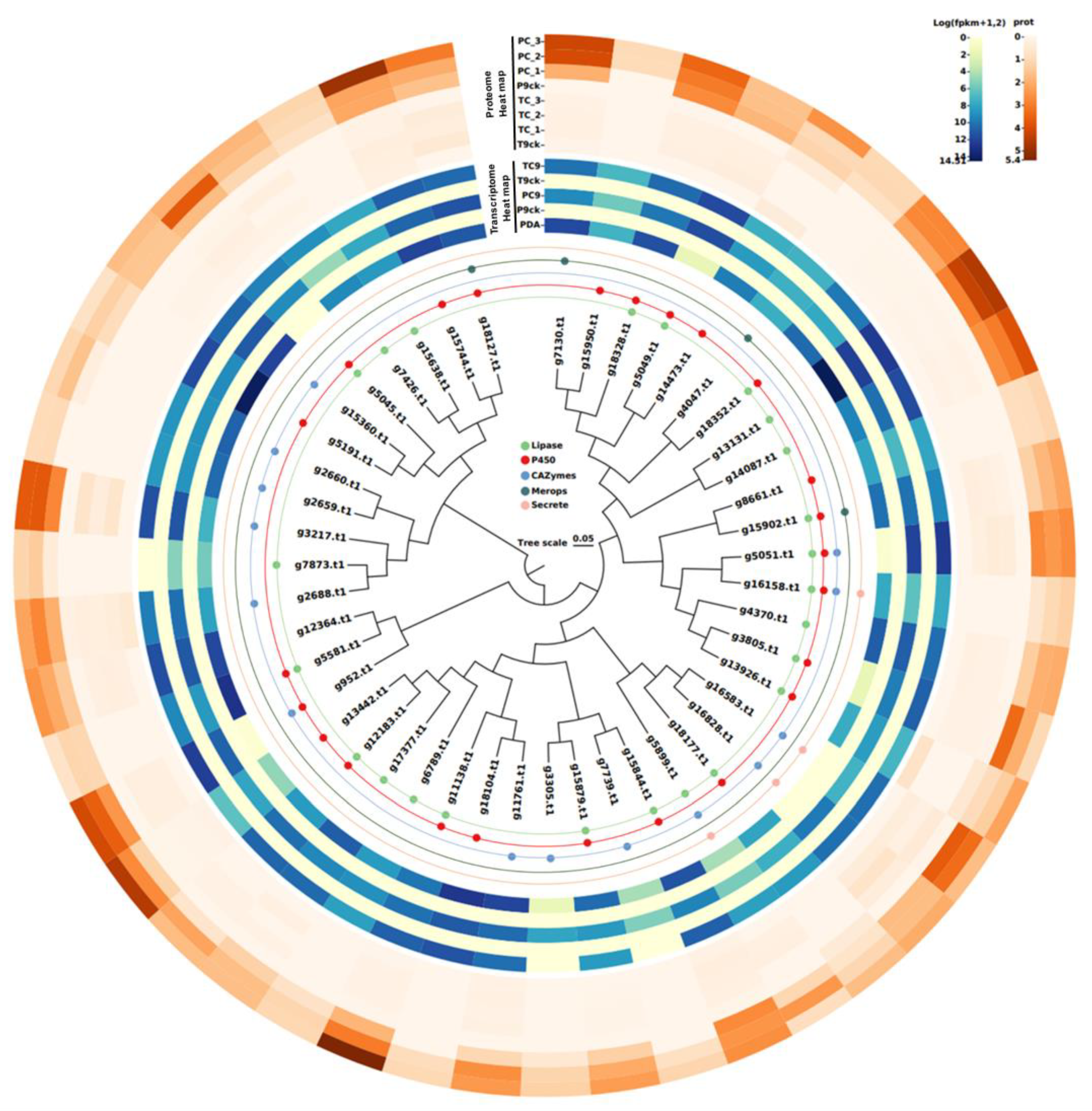 Jof 08 00869 g006 Jof 08 00869 g006