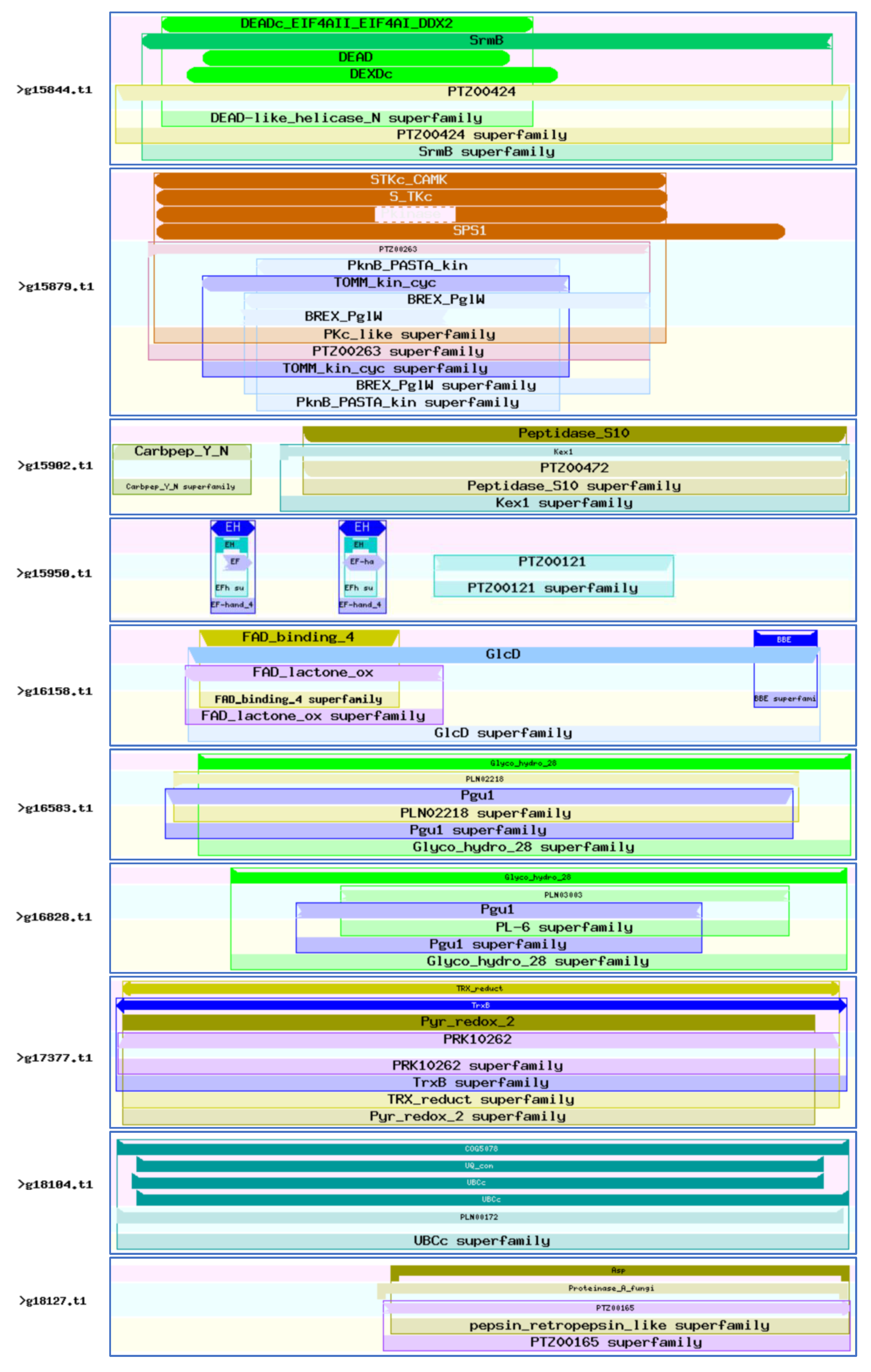 Jof 08 00869 g007d Jof 08 00869 g007d
