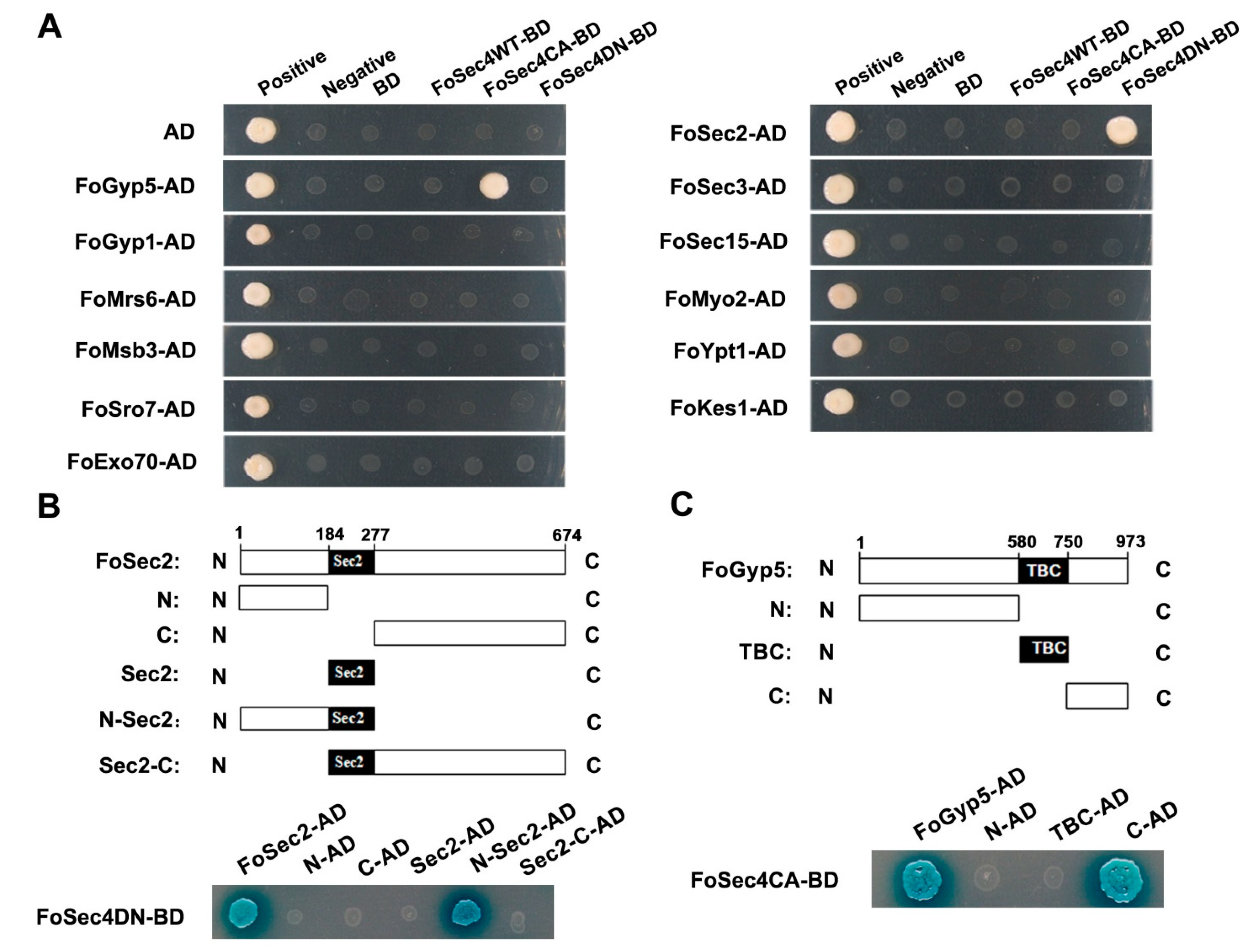 Jof 08 00880 g001 550