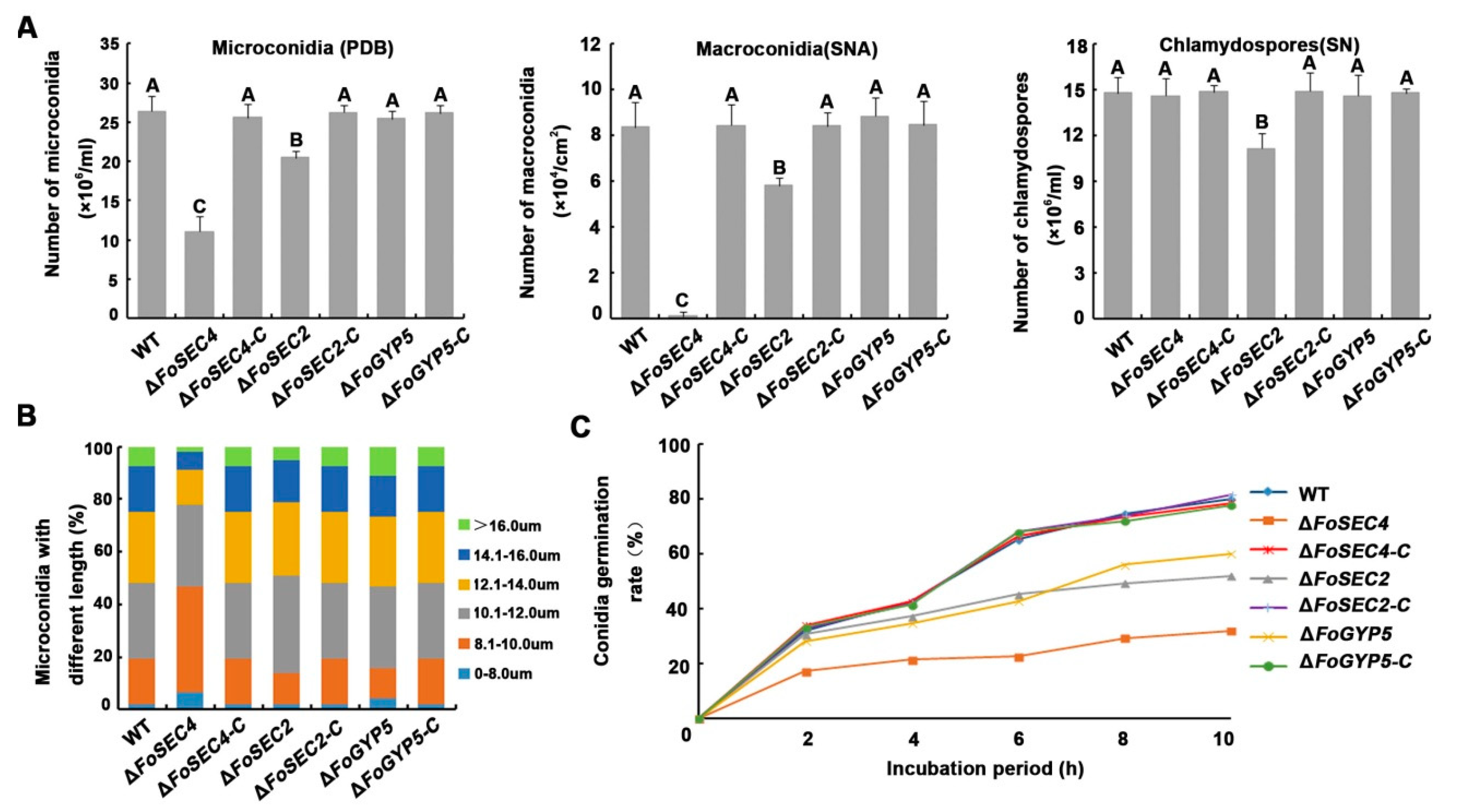 Jof 08 00880 g004 550