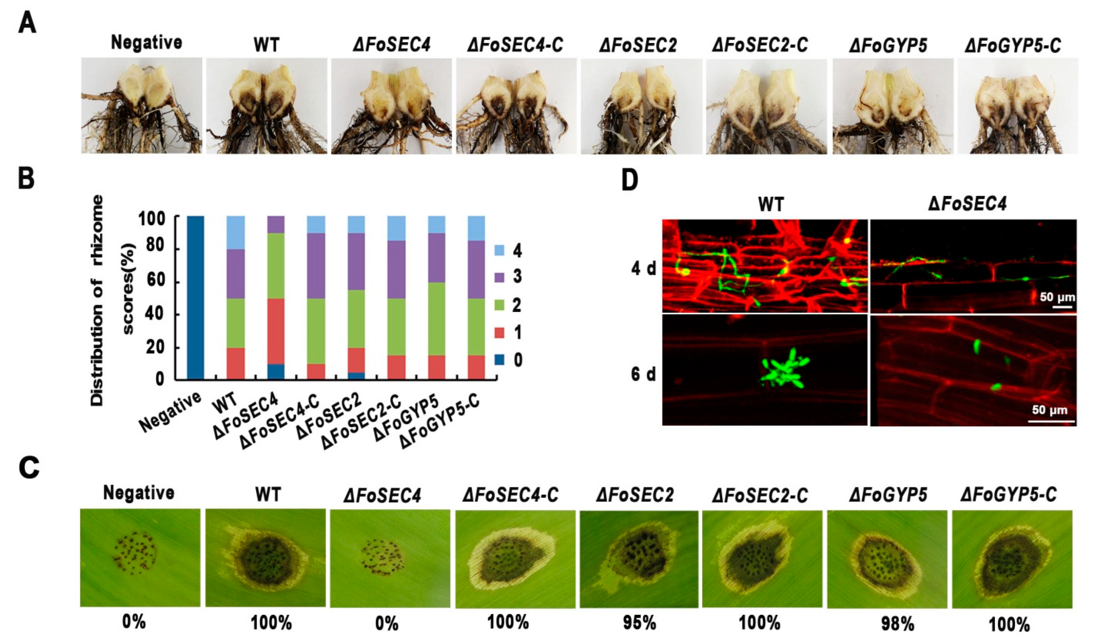 Jof 08 00880 g005 550