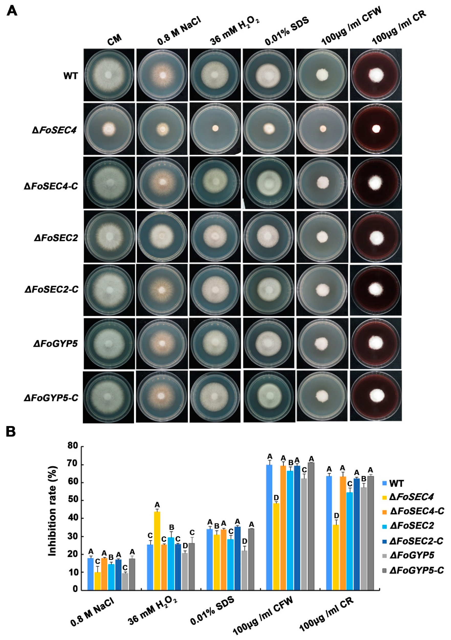 Jof 08 00880 g007 550