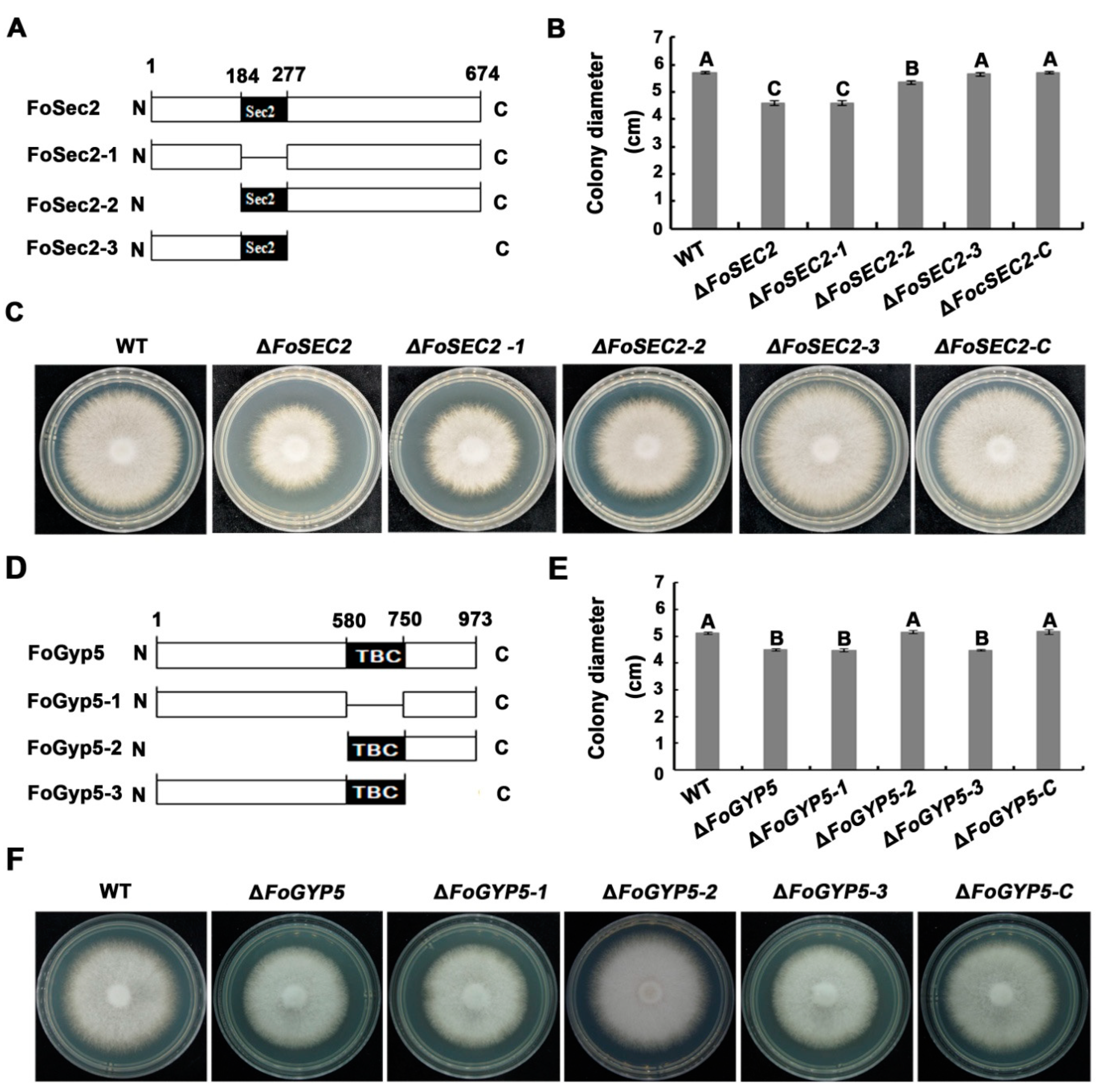 Jof 08 00880 g008 550