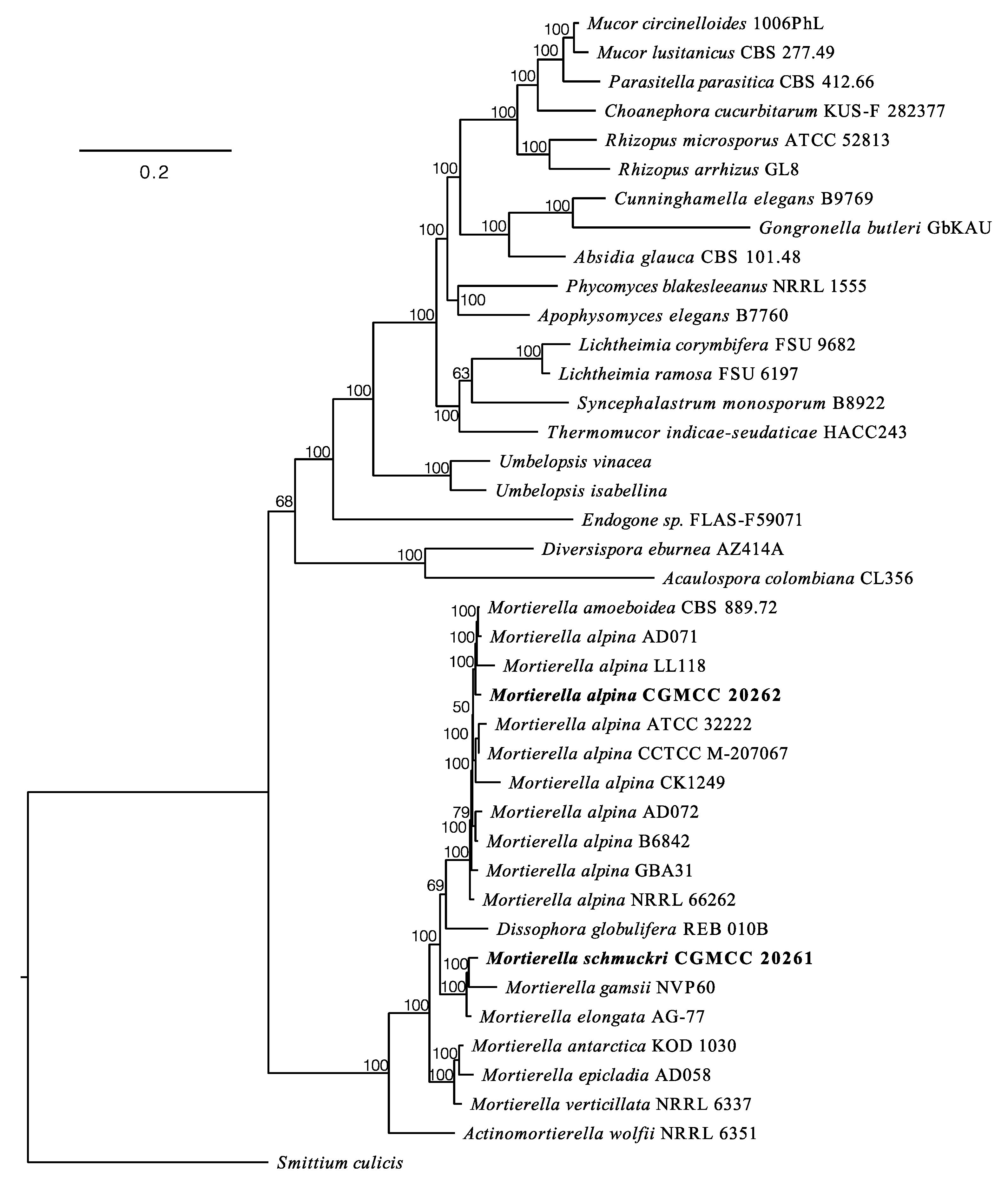 Jof 08 00891 g002 550